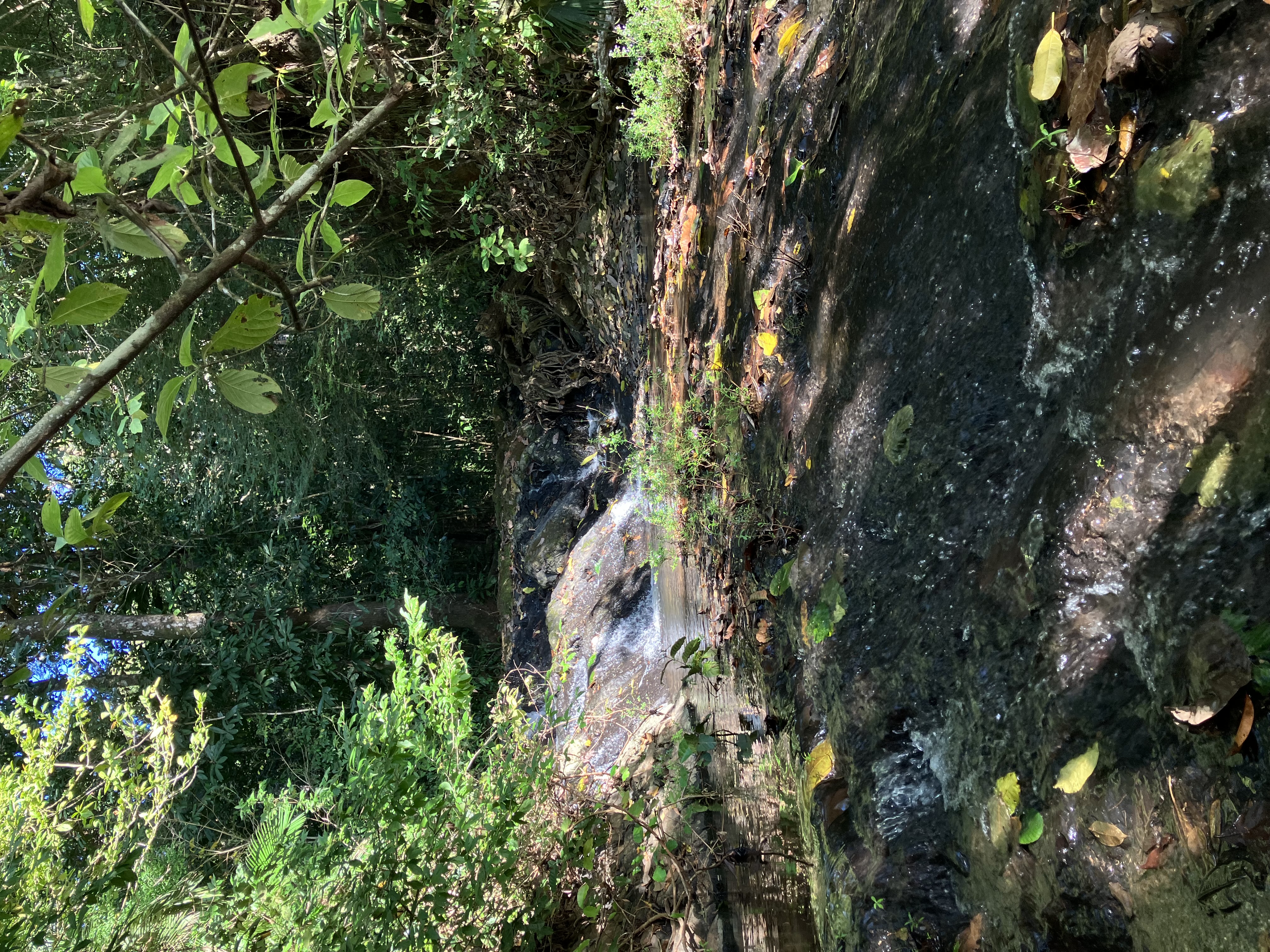 0 bed Land For Sale in Cobano, Puntarenas - thumb 5