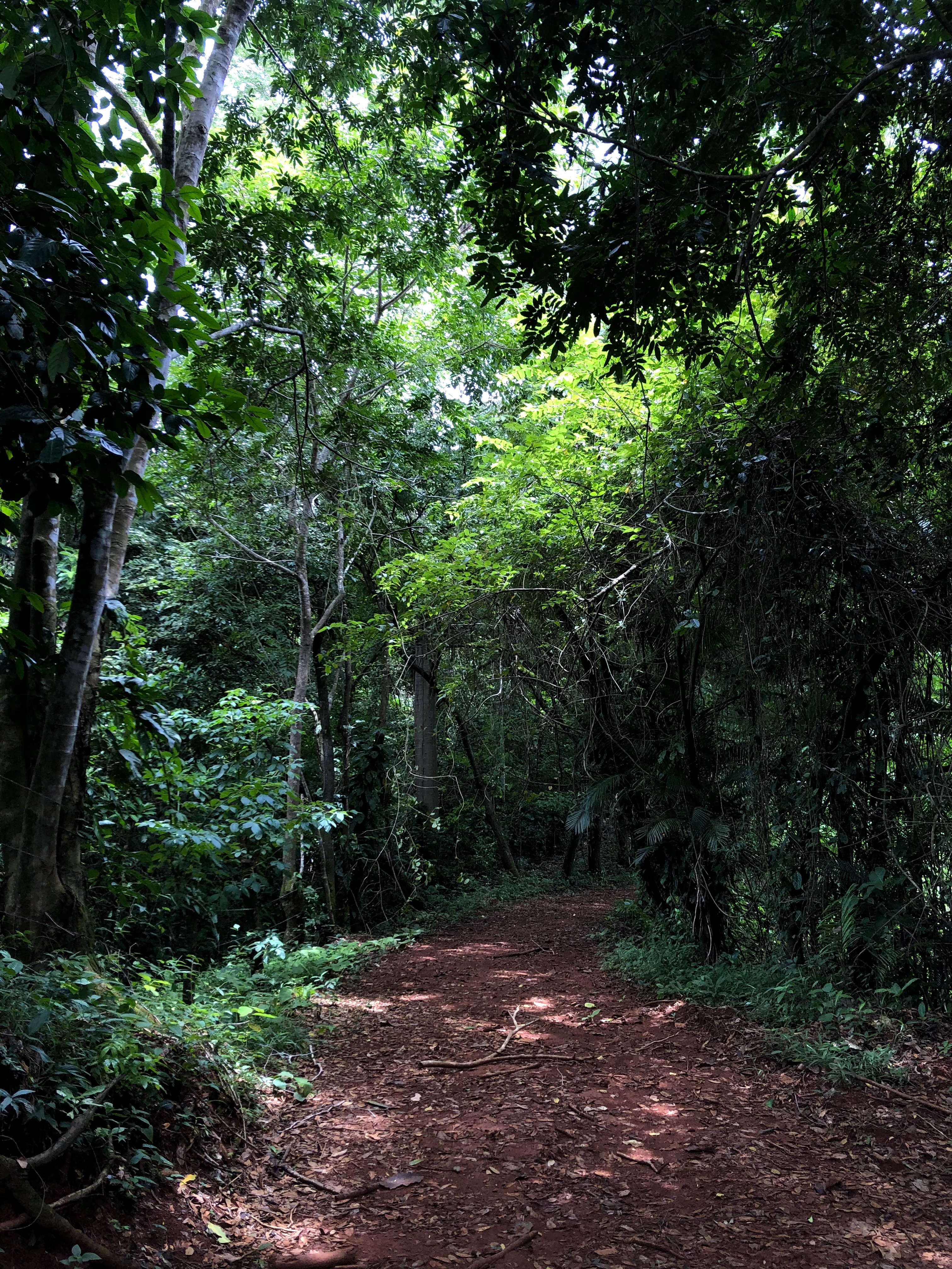 0 bed Land For Sale in Cobano, Puntarenas - thumb 8