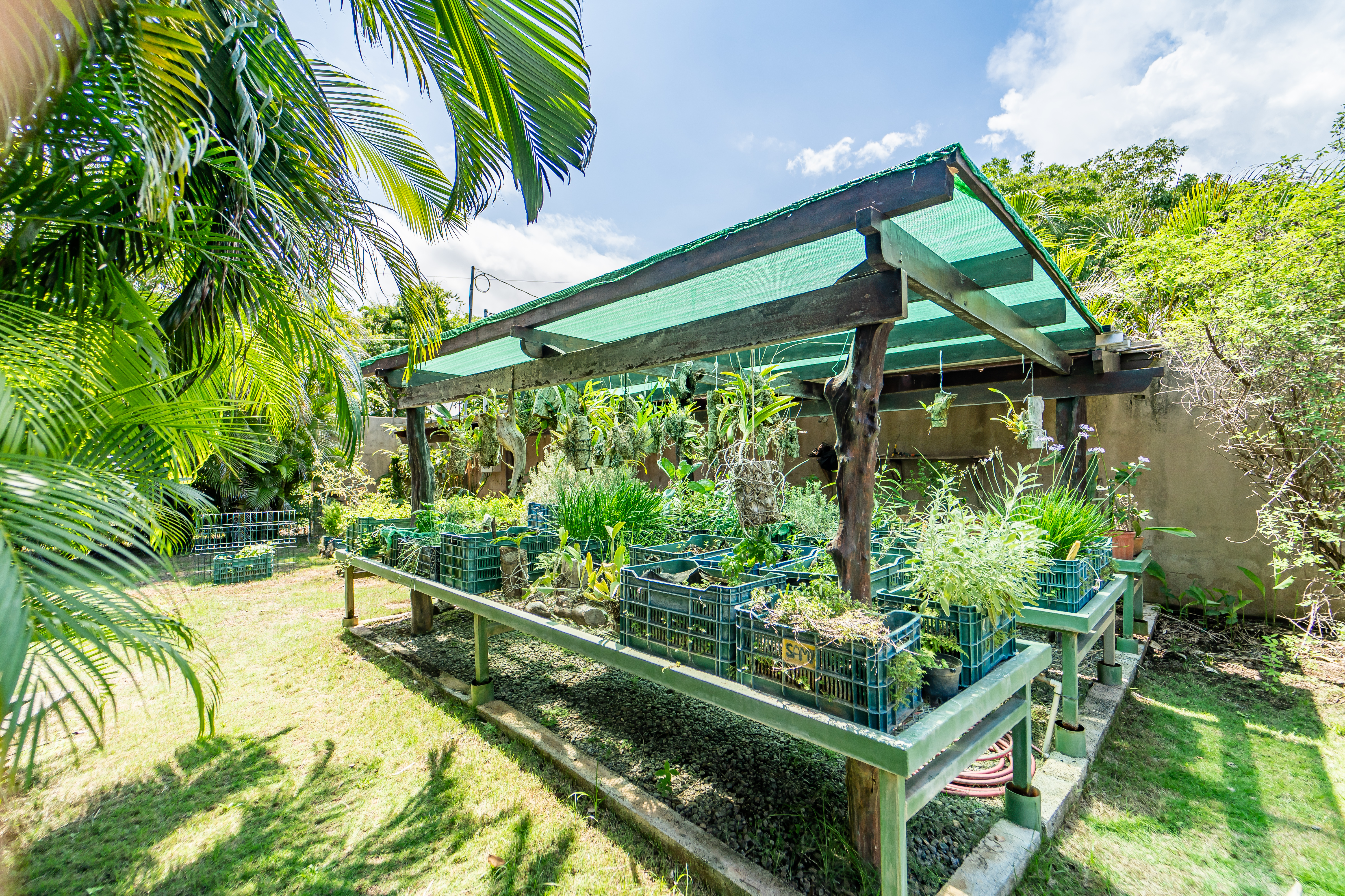 4 bed Single Family Homes For Sale in Samara, Guanacaste - thumb 7