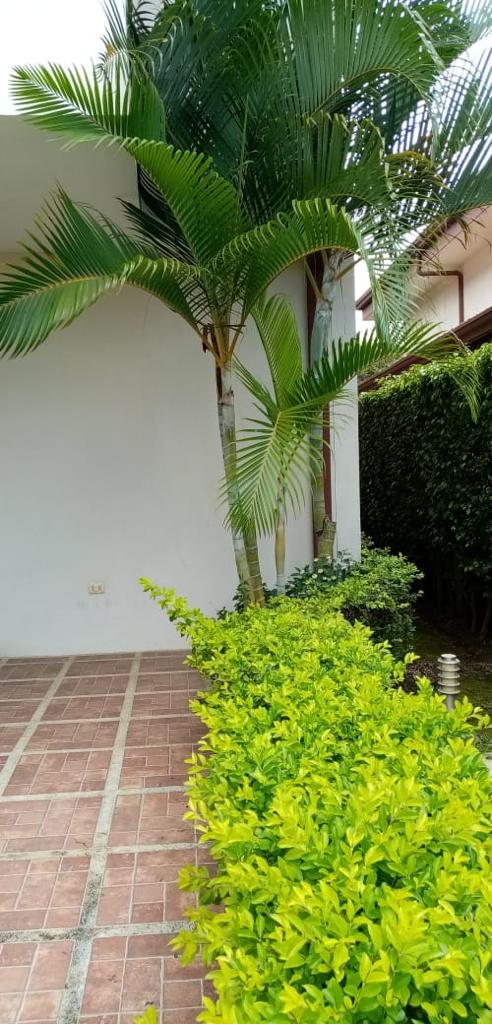 3 bed Condo For Sale in Barreal, Heredia - thumb 24