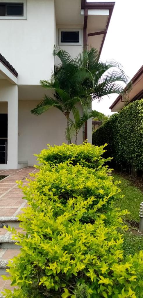 3 bed Condo For Sale in Barreal, Heredia - thumb 20