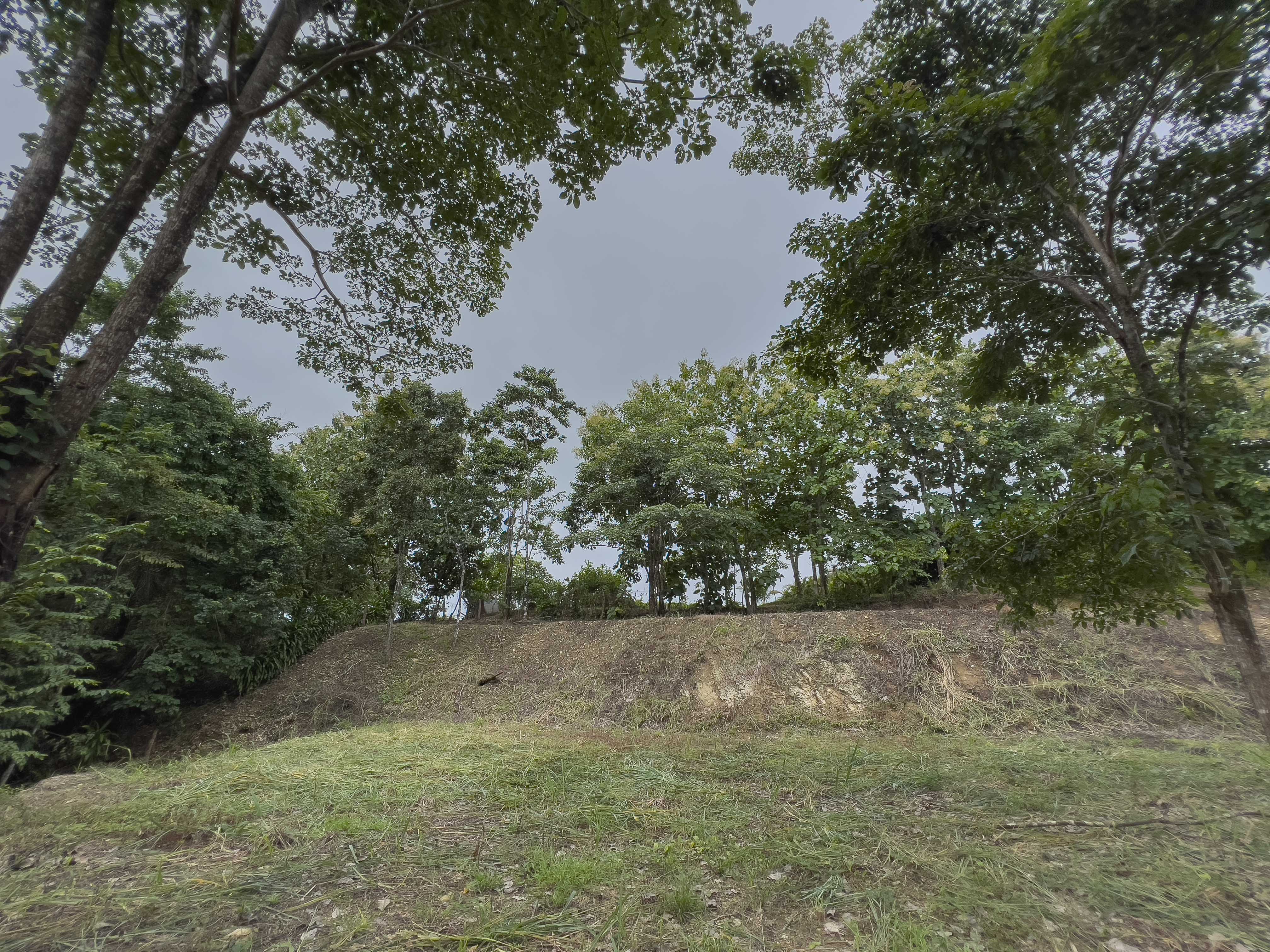 0 bed Land For Sale in Santiago, Puntarenas - thumb 8