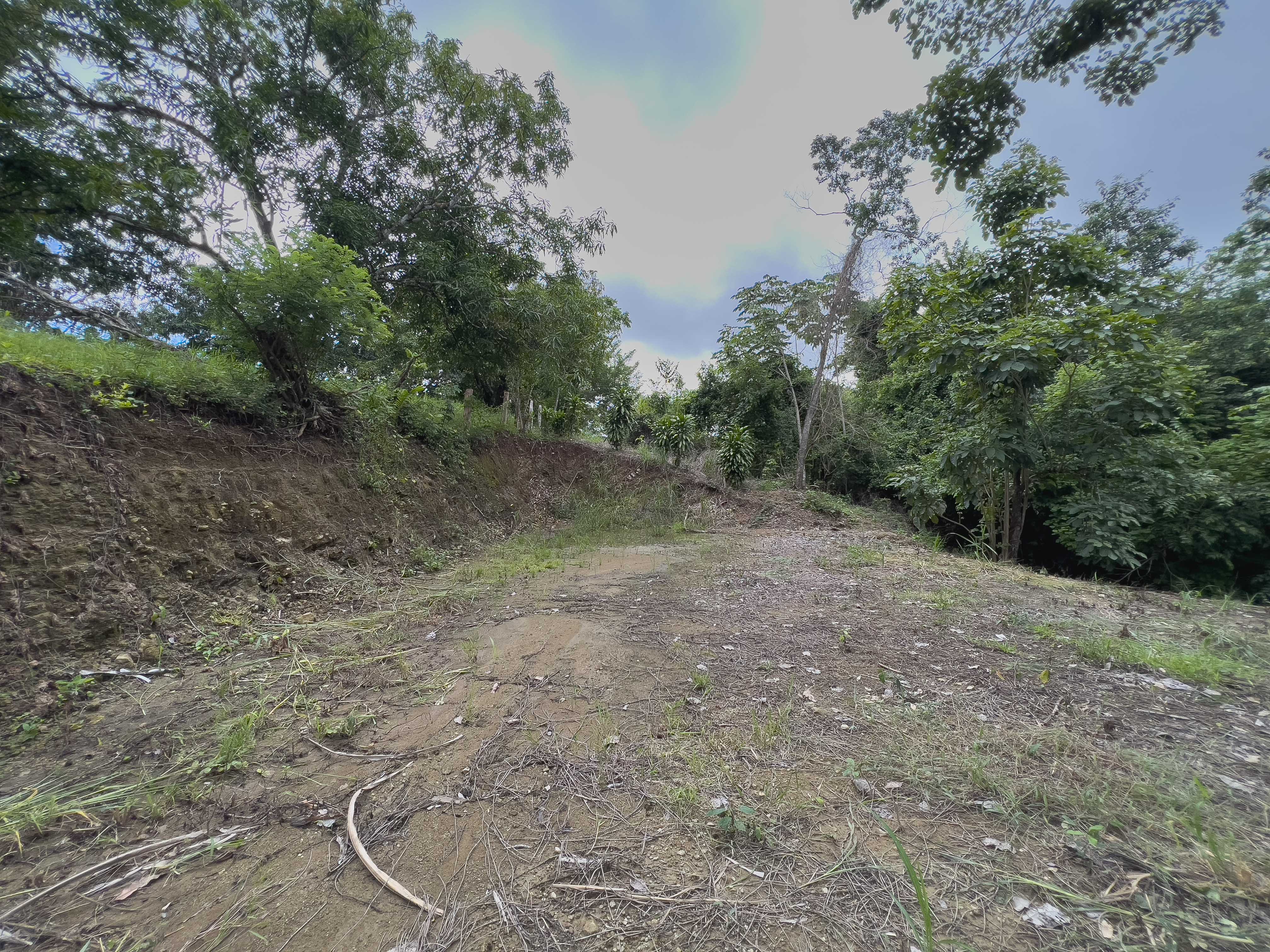 0 bed Land For Sale in Santiago, Puntarenas - thumb 7
