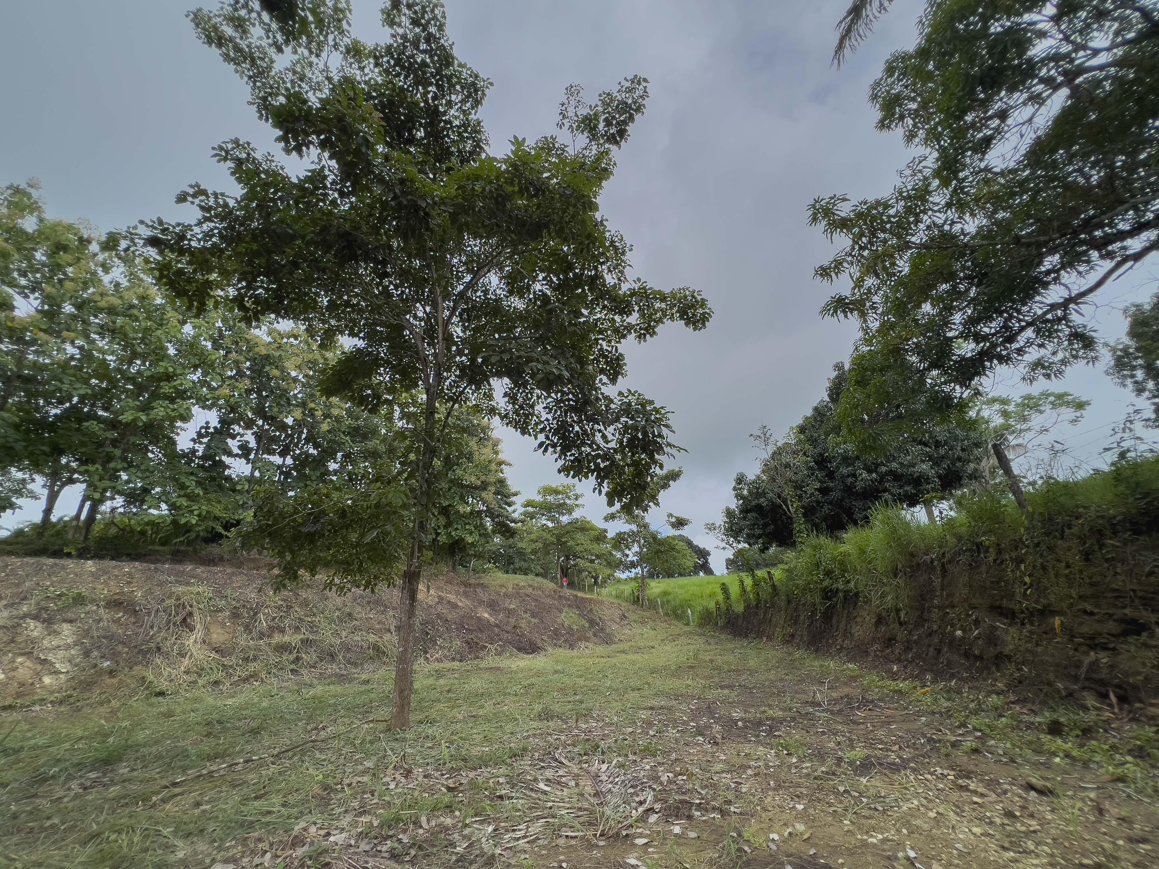 0 bed Land For Sale in Santiago, Puntarenas - thumb 9