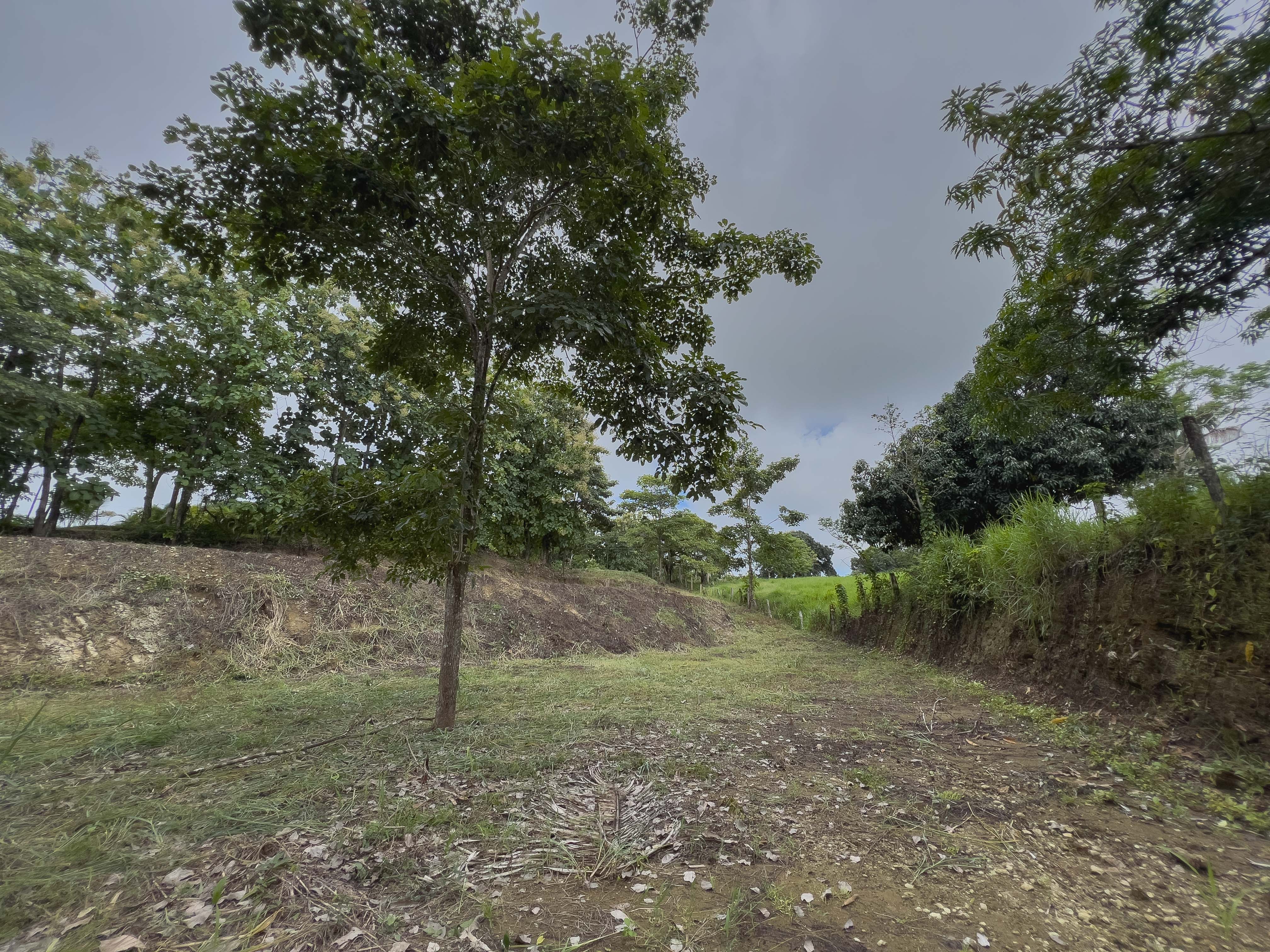 0 bed Land For Sale in Santiago, Puntarenas - thumb 6