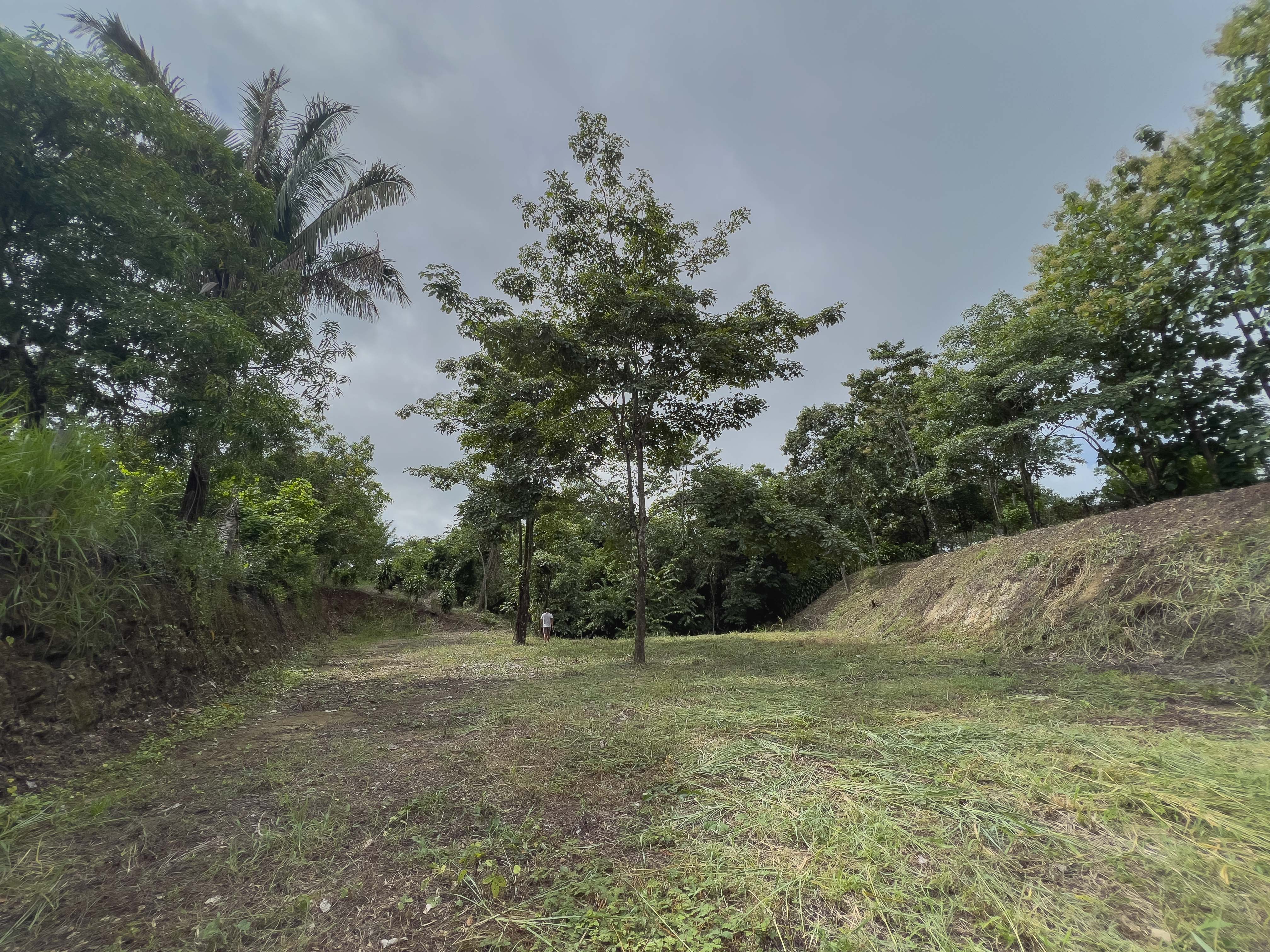 0 bed Land For Sale in Santiago, Puntarenas - thumb 4
