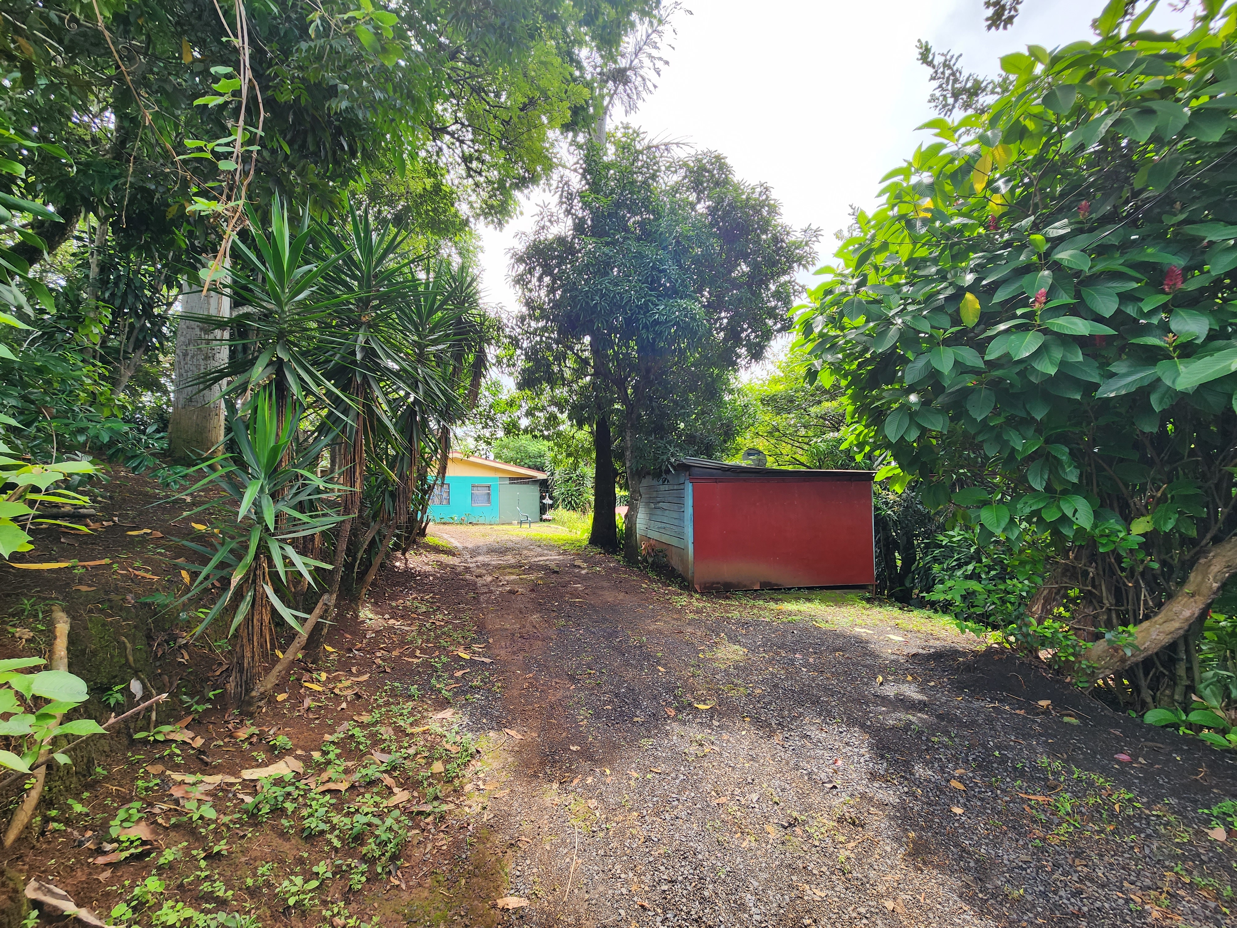 5 bed Single Family Homes For Sale in Naranjo, Alajuela - thumb 13