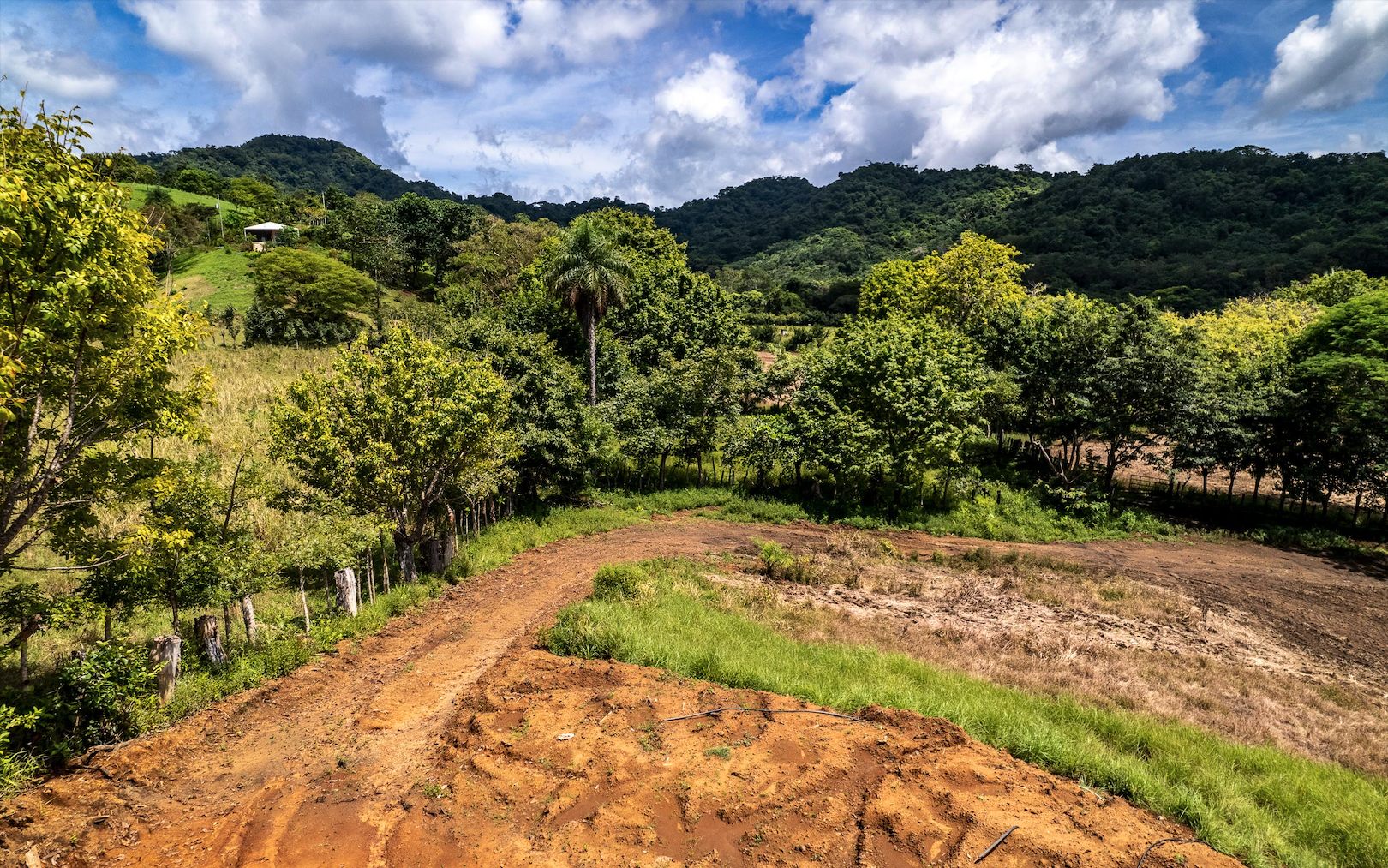 0 bed Land For Sale in Samara, Guanacaste - thumb 8