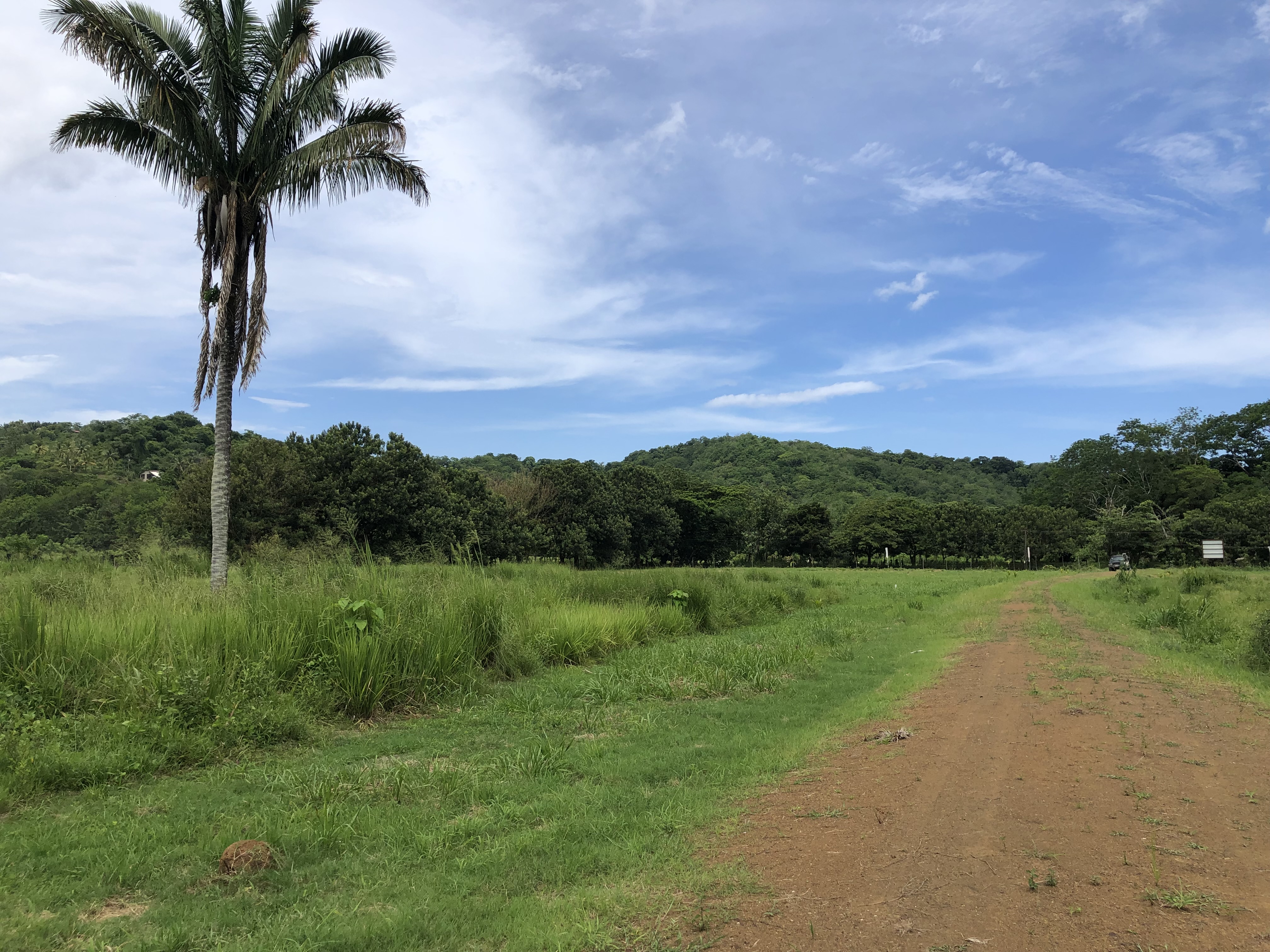 0 bed Land For Sale in Samara, Guanacaste - thumb 15