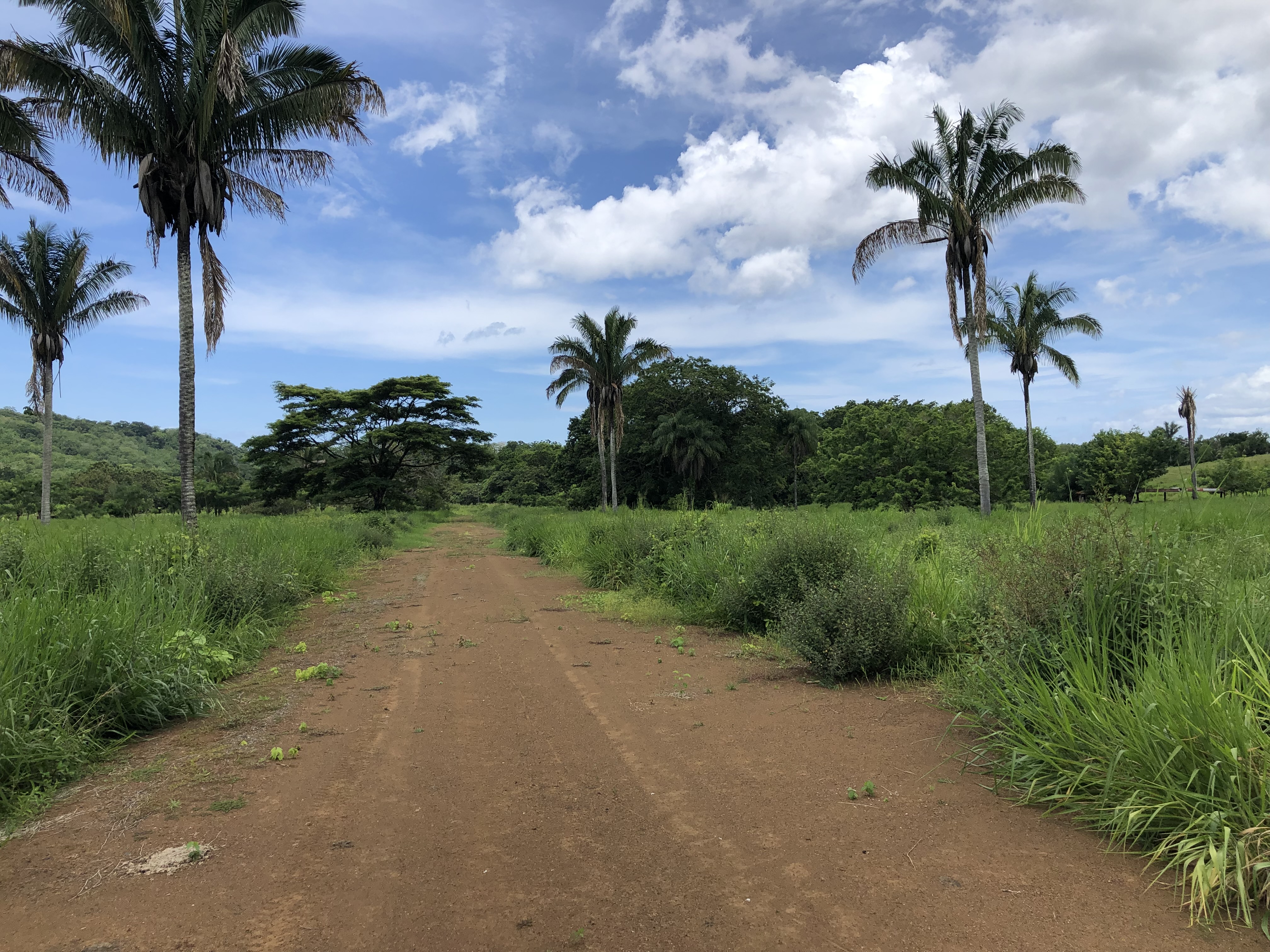 0 bed Land For Sale in Samara, Guanacaste - thumb 19