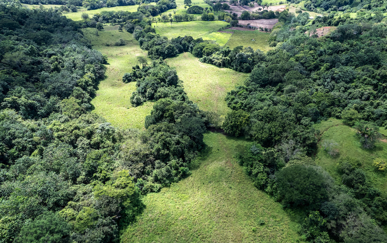 0 bed Land For Sale in Samara, Guanacaste - thumb 6