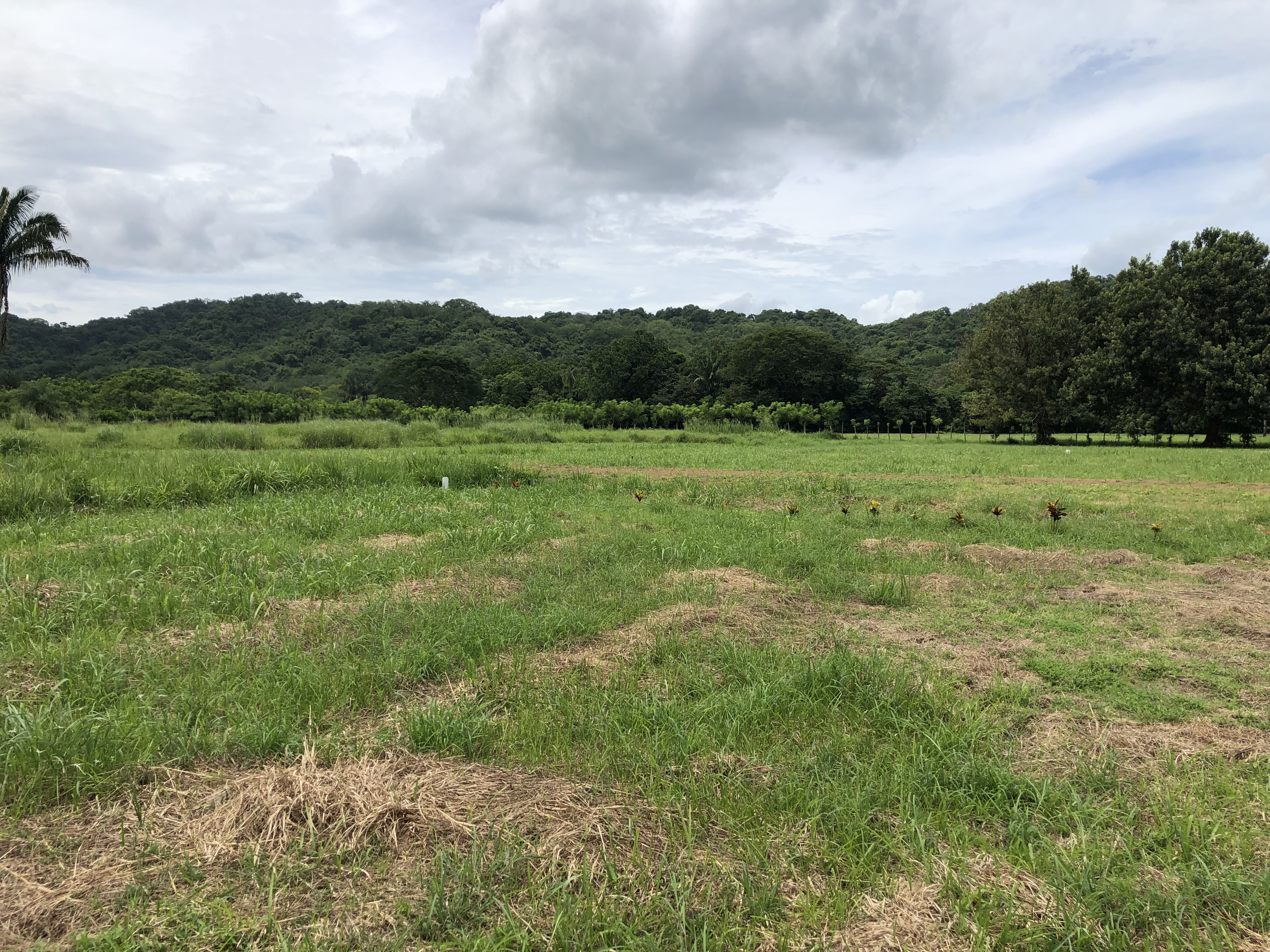 0 bed Land For Sale in Samara, Guanacaste - thumb 17
