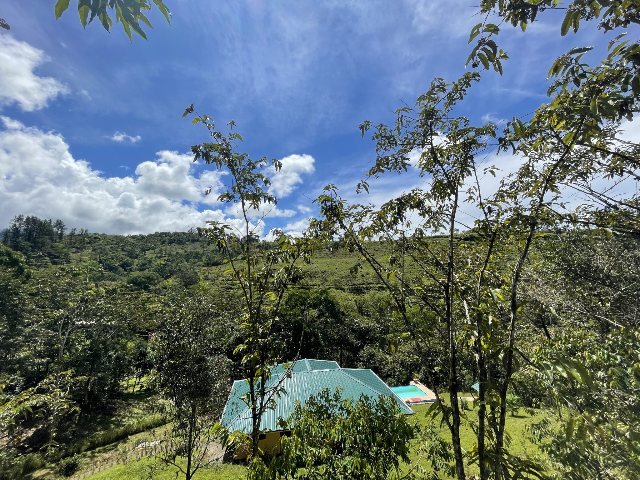 2 bed Single Family Homes For Sale in Perez Zeledon, San Jose - thumb 5