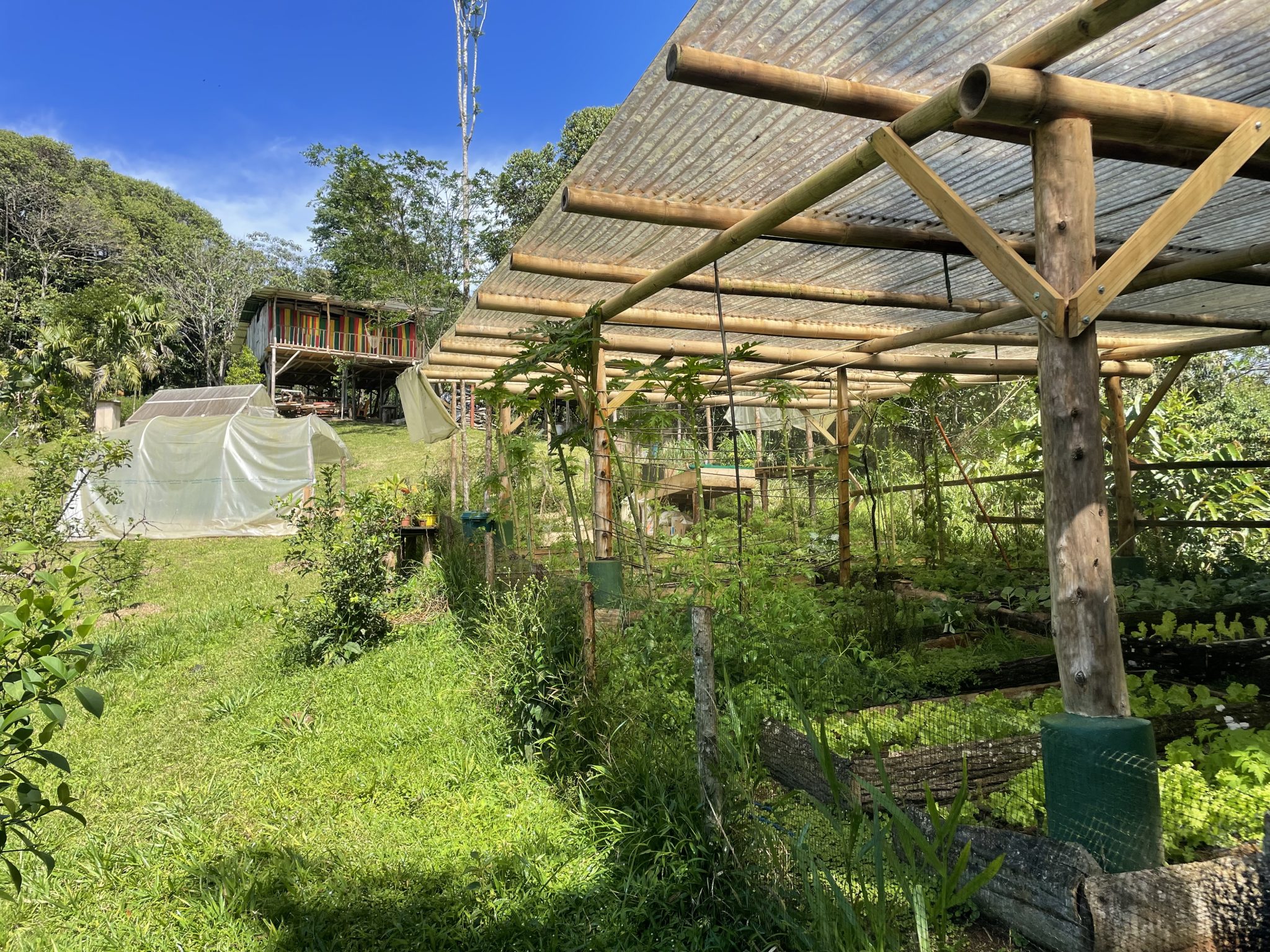 2 bed Single Family Homes For Sale in Perez Zeledon, San Jose - thumb 21