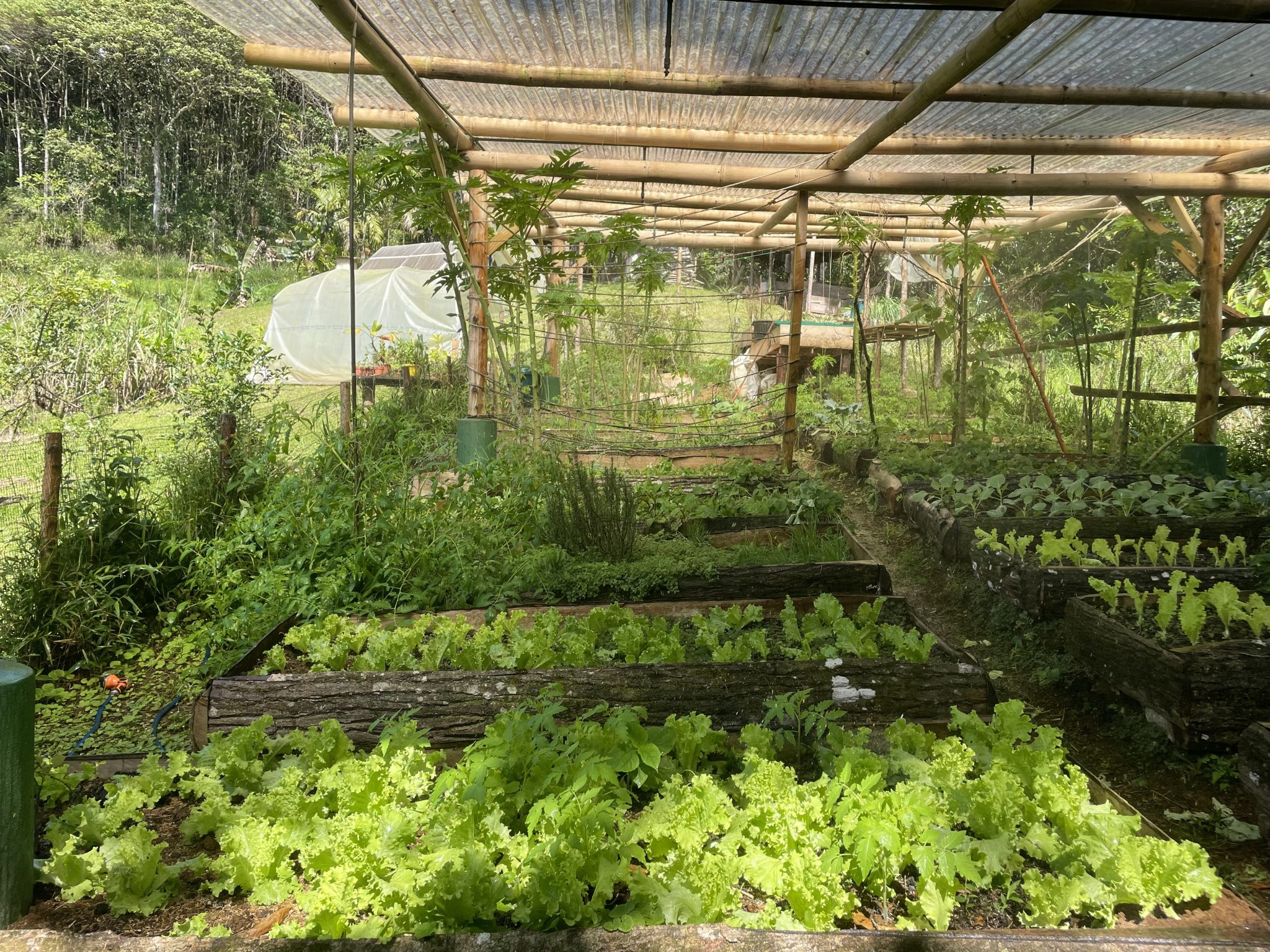 2 bed Single Family Homes For Sale in Perez Zeledon, San Jose - thumb 20