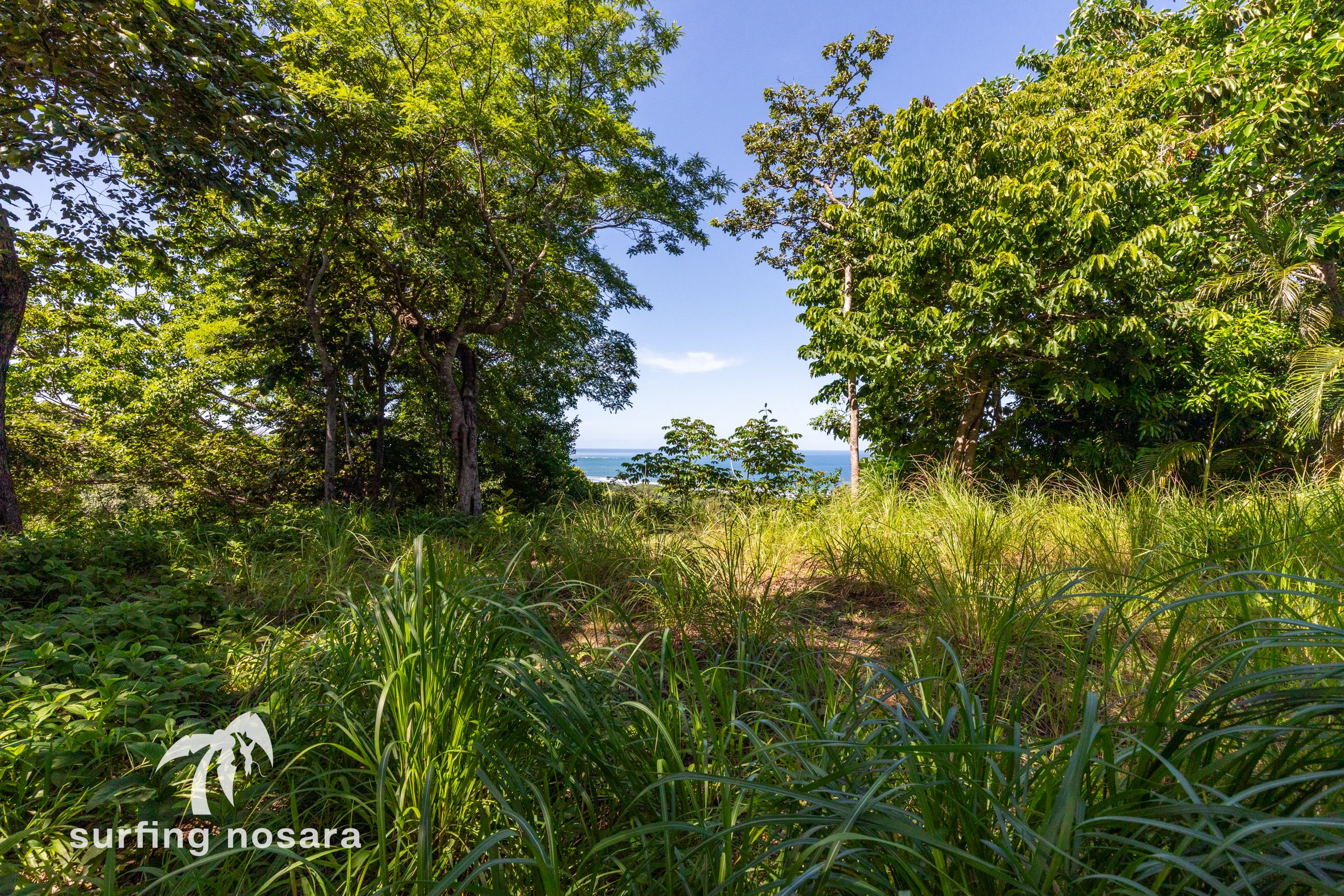 0 bed Land For Sale in Playa Guiones, Guanacaste - thumb 3