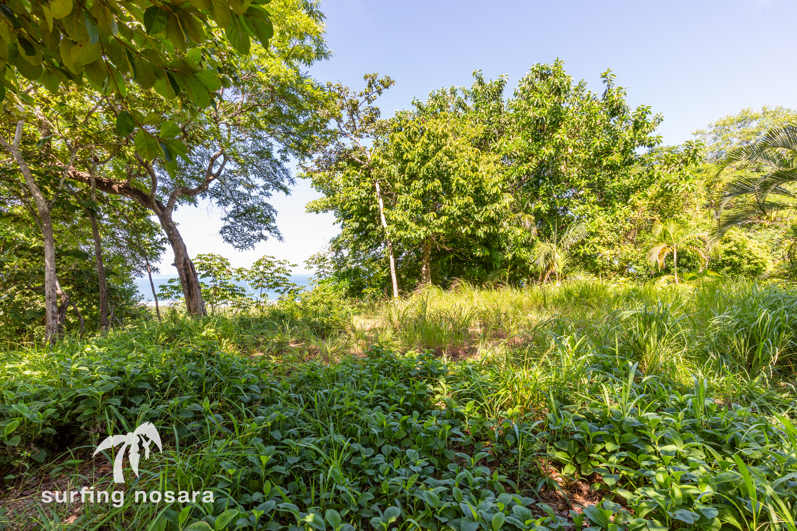 0 bed Land For Sale in Playa Guiones, Guanacaste - thumb 6