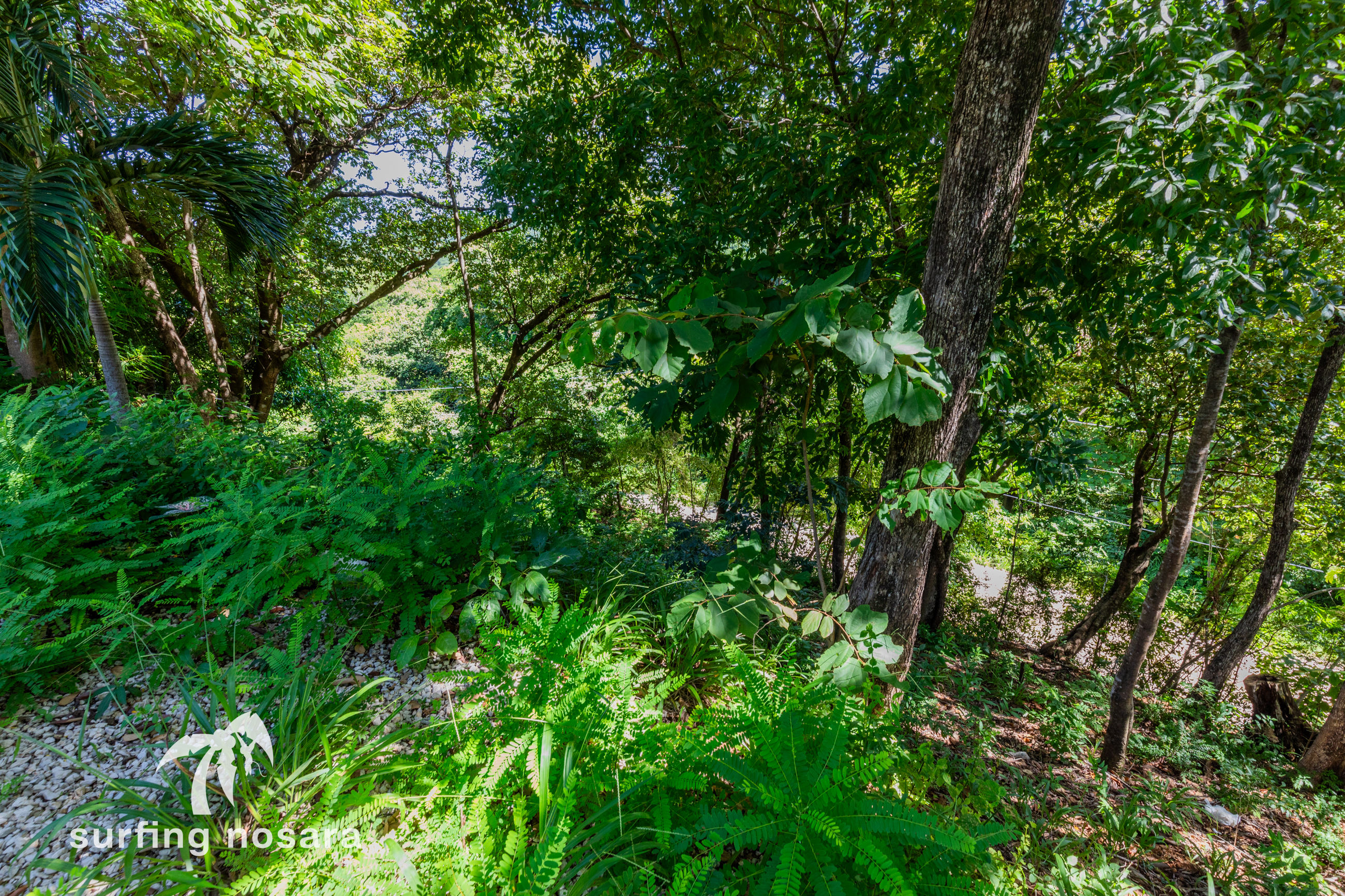0 bed Land For Sale in Playa Guiones, Guanacaste - thumb 12
