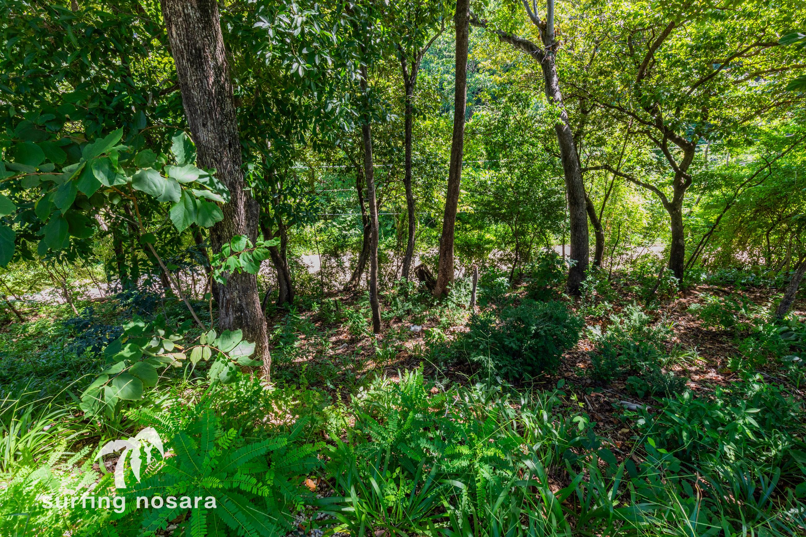 0 bed Land For Sale in Playa Guiones, Guanacaste - thumb 8