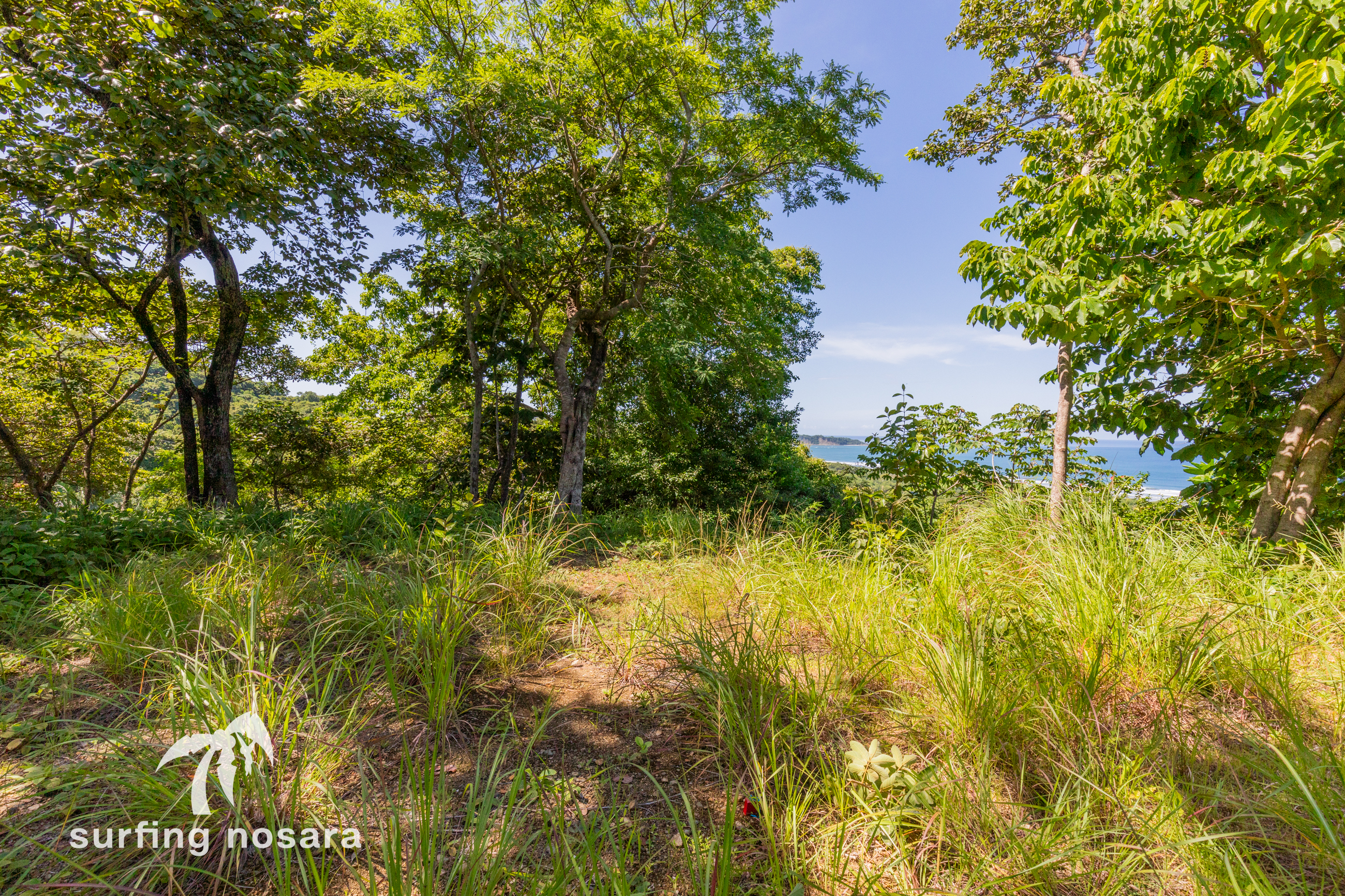 0 bed Land For Sale in Playa Guiones, Guanacaste - thumb 4