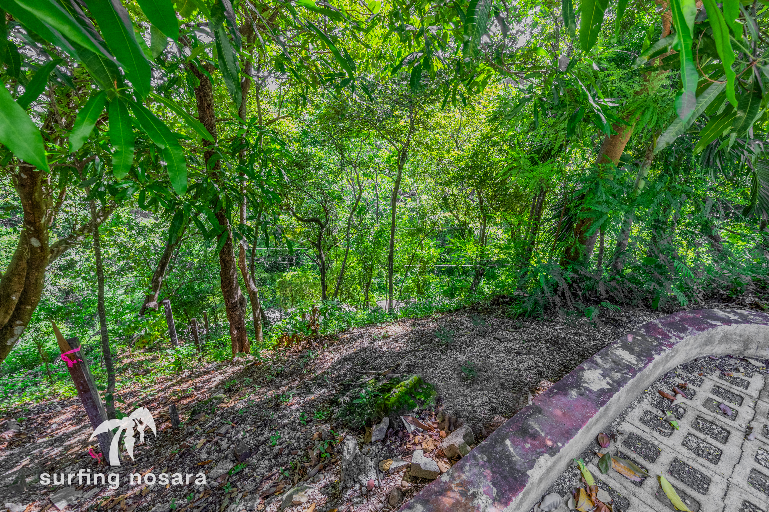 0 bed Land For Sale in Playa Guiones, Guanacaste - thumb 11