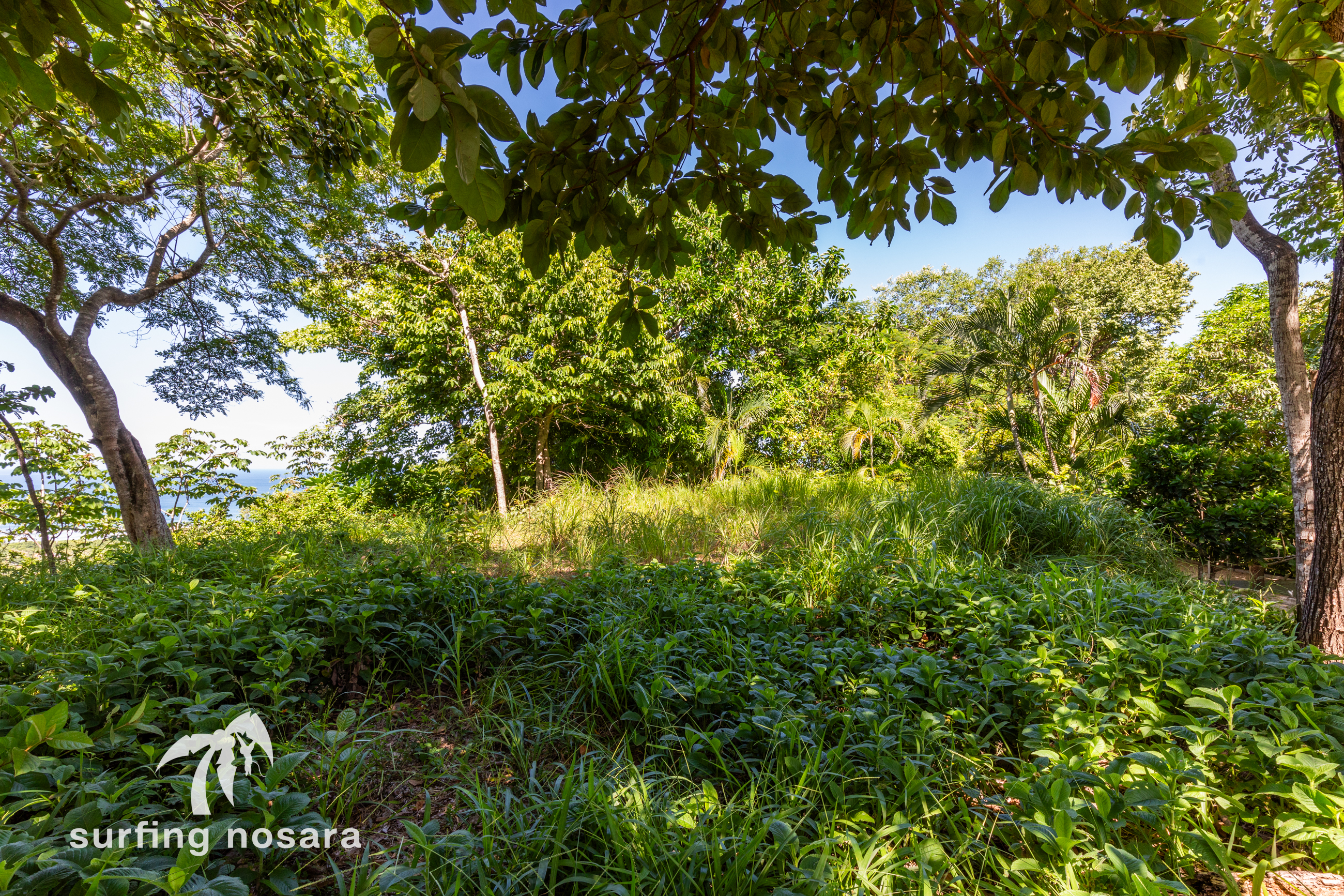 0 bed Land For Sale in Playa Guiones, Guanacaste - thumb 7