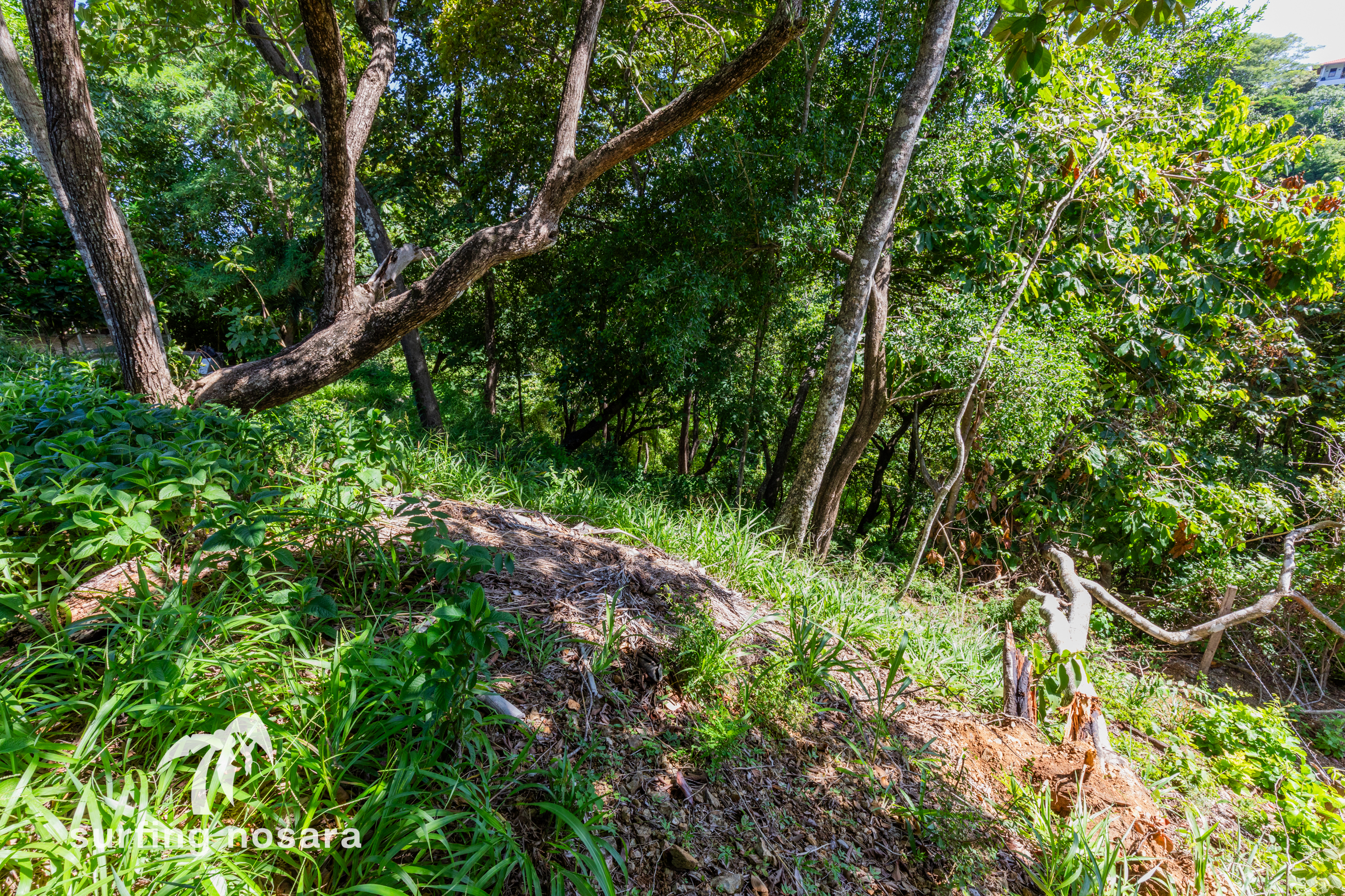 0 bed Land For Sale in Playa Guiones, Guanacaste - thumb 10