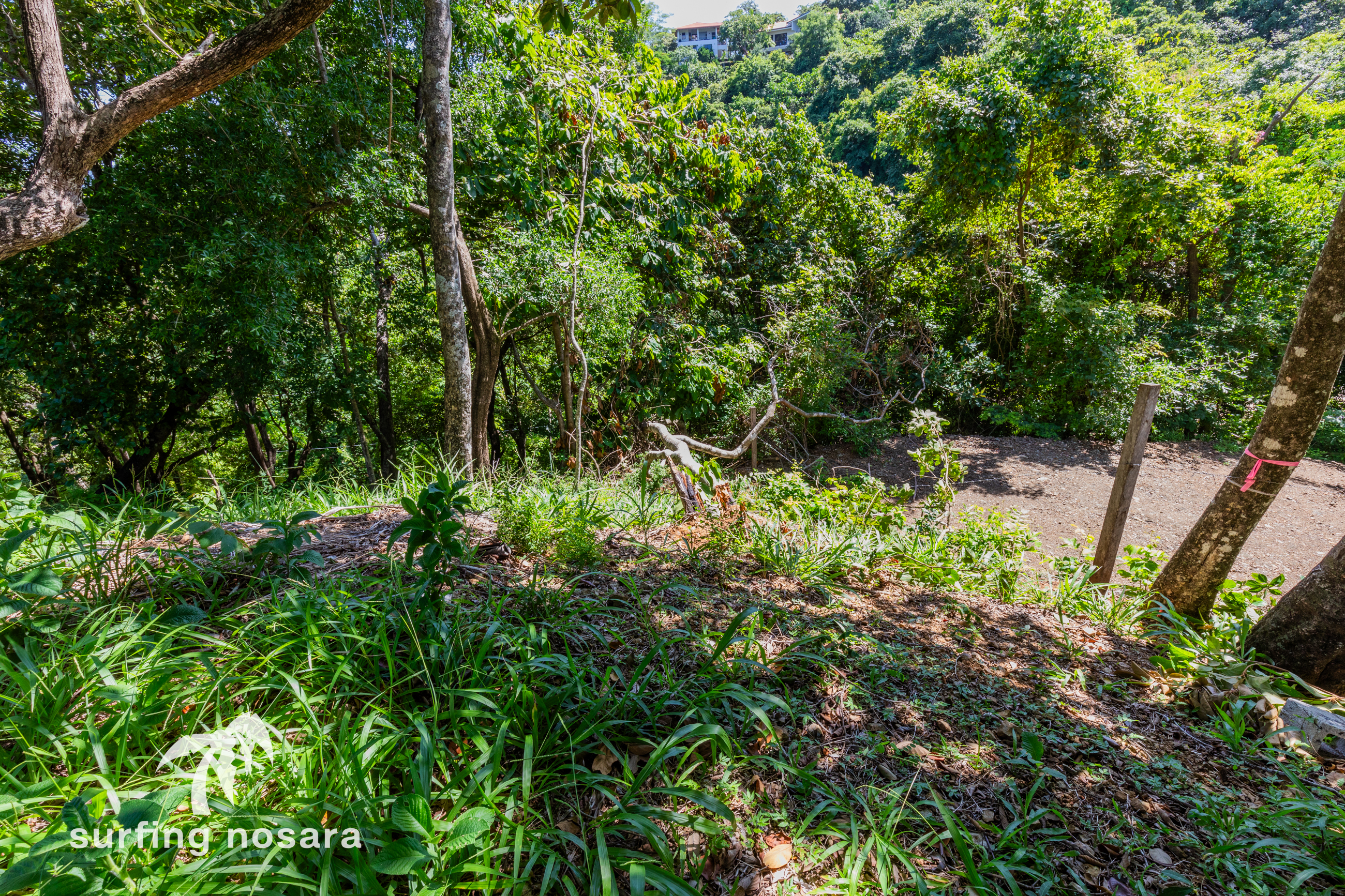 0 bed Land For Sale in Playa Guiones, Guanacaste - thumb 9