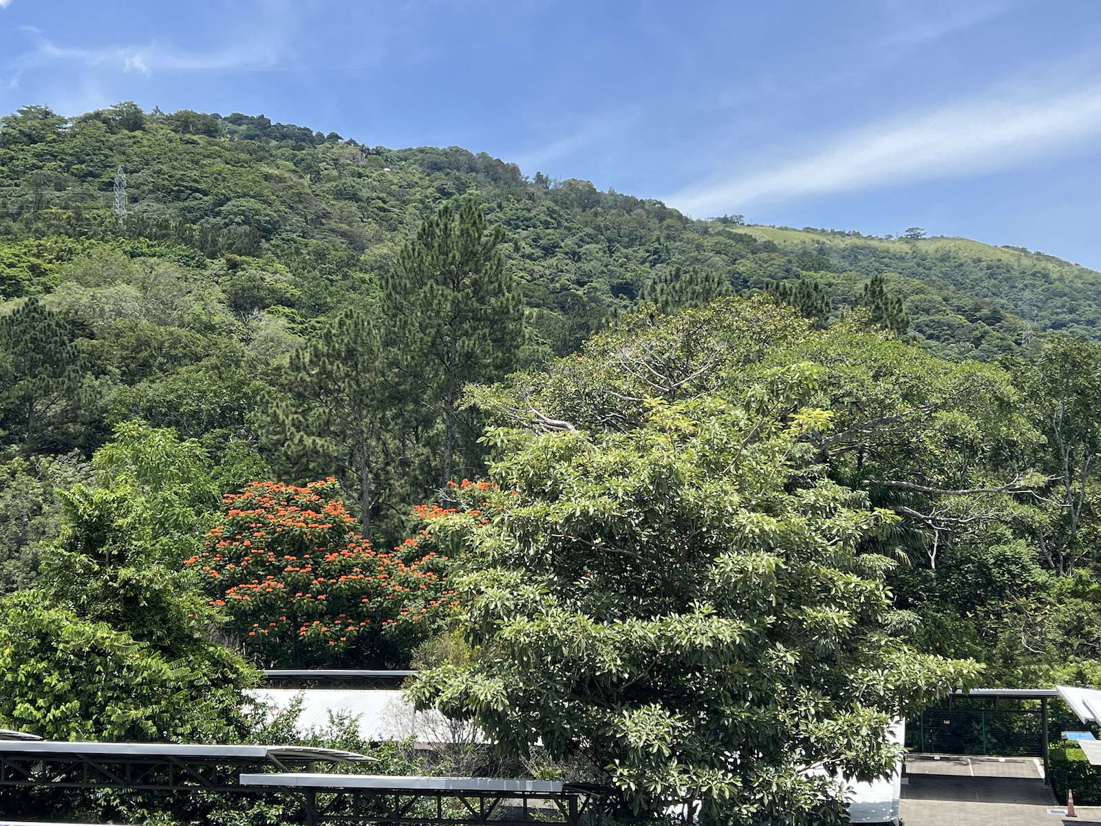 3 bed Apartment For Sale in Escazu, San Jose - thumb 23