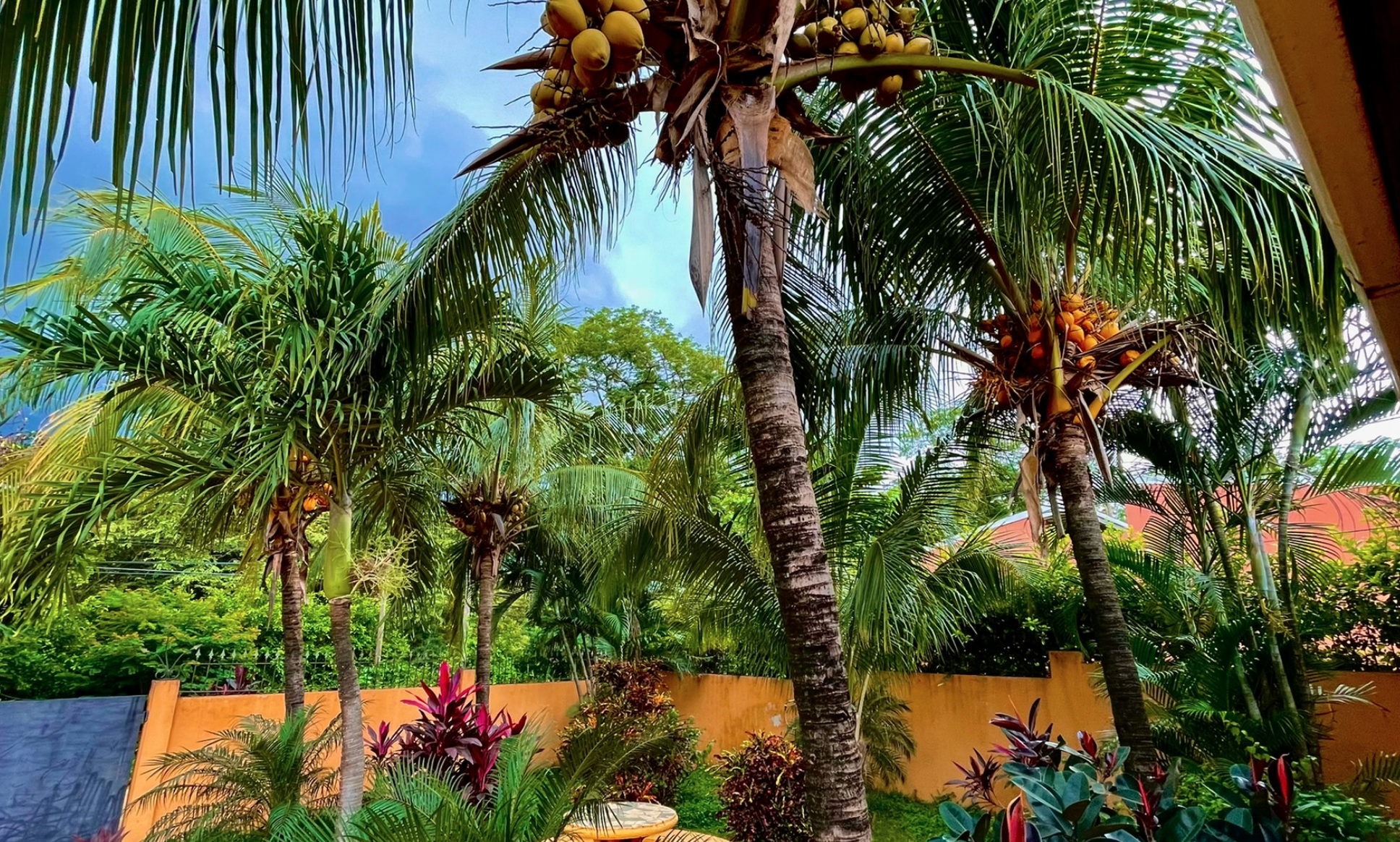 9 bed Hotel / Leisure For Sale in Tamarindo, Guanacaste - thumb 28