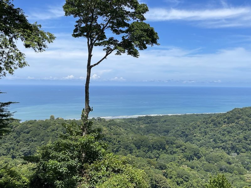 0 bed Land For Sale in Dominical, Puntarenas - 1