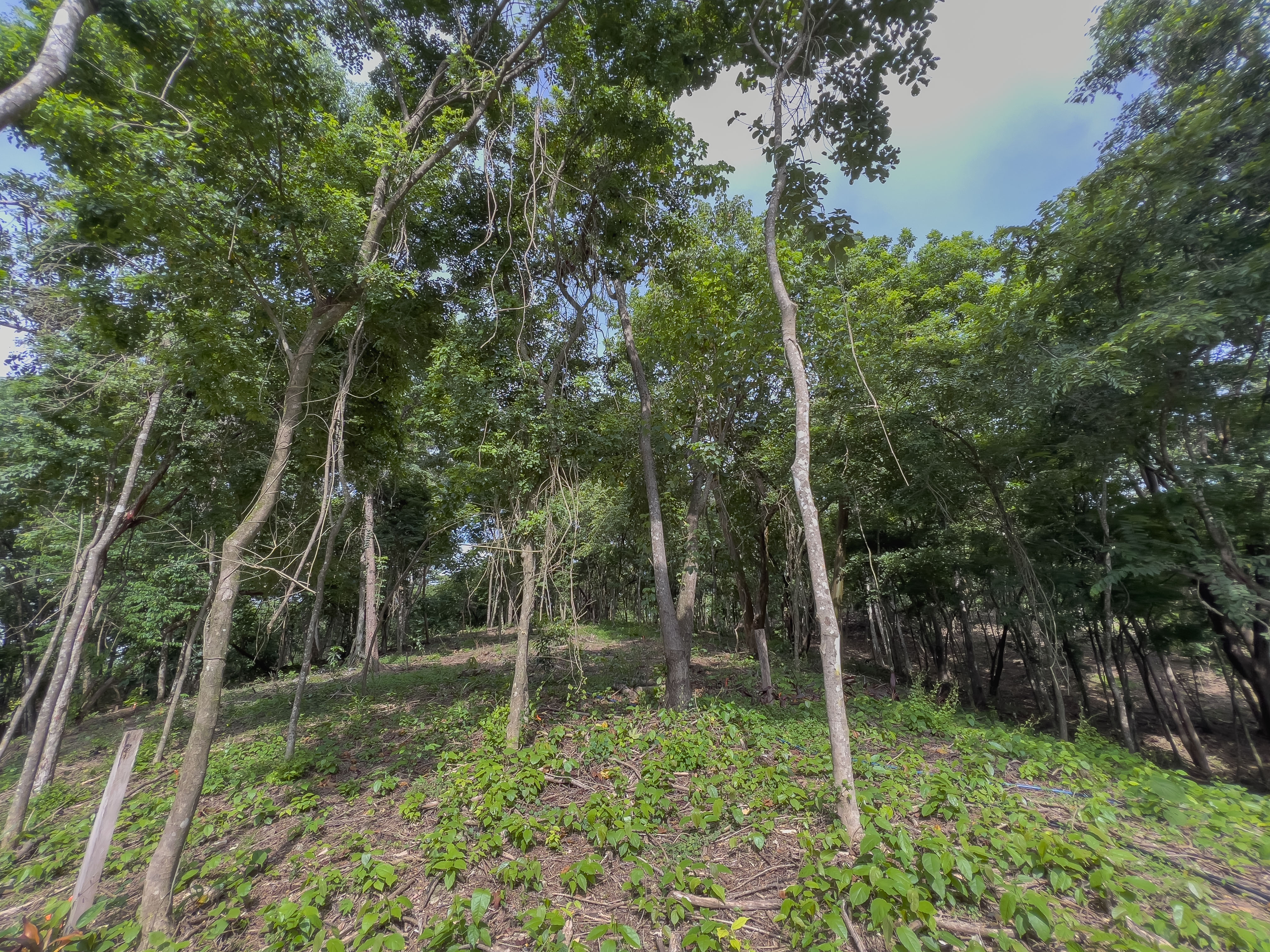 0 bed Communities For Sale in Santiago, Puntarenas - thumb 10