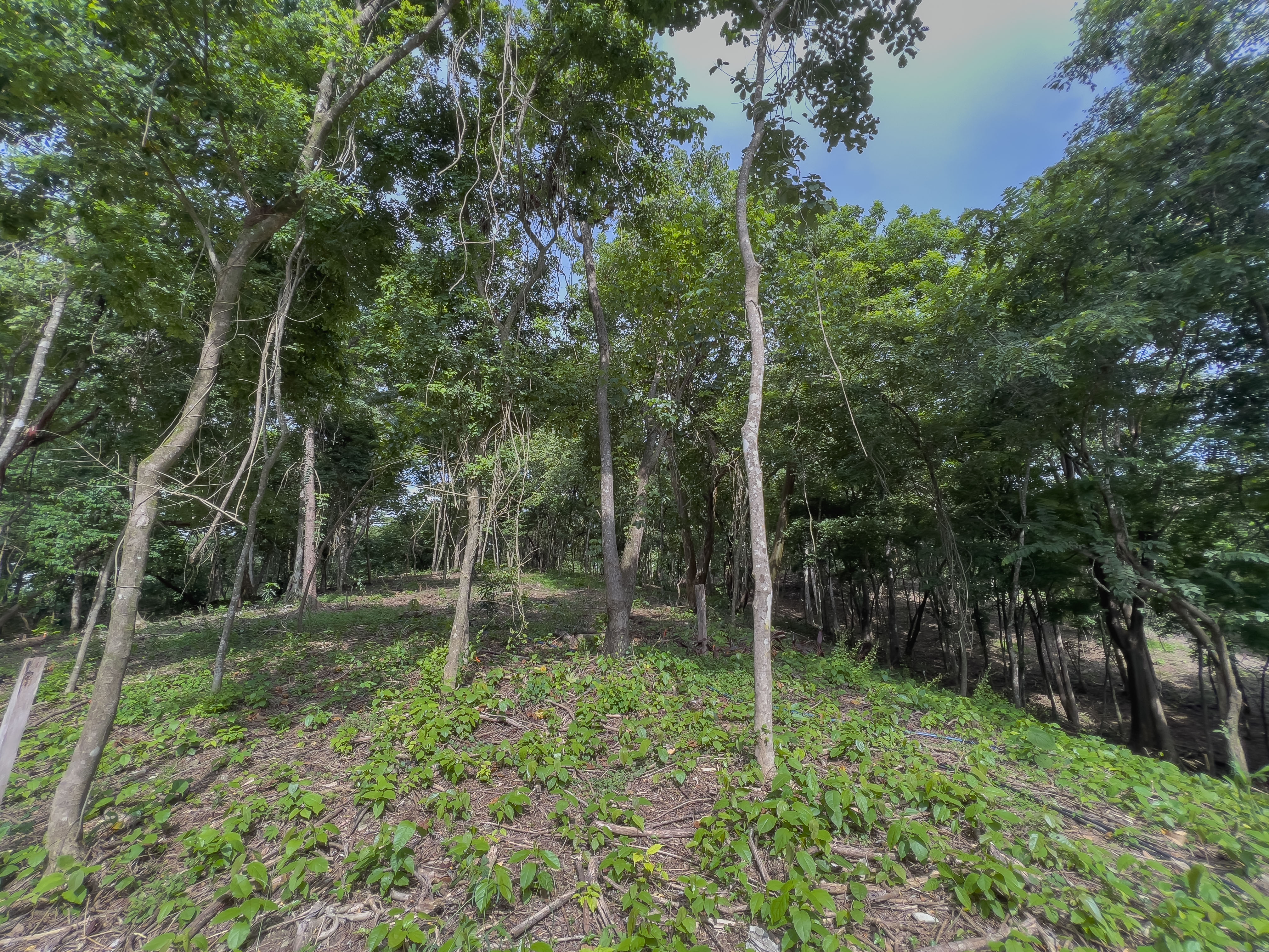 0 bed Communities For Sale in Santiago, Puntarenas - thumb 3