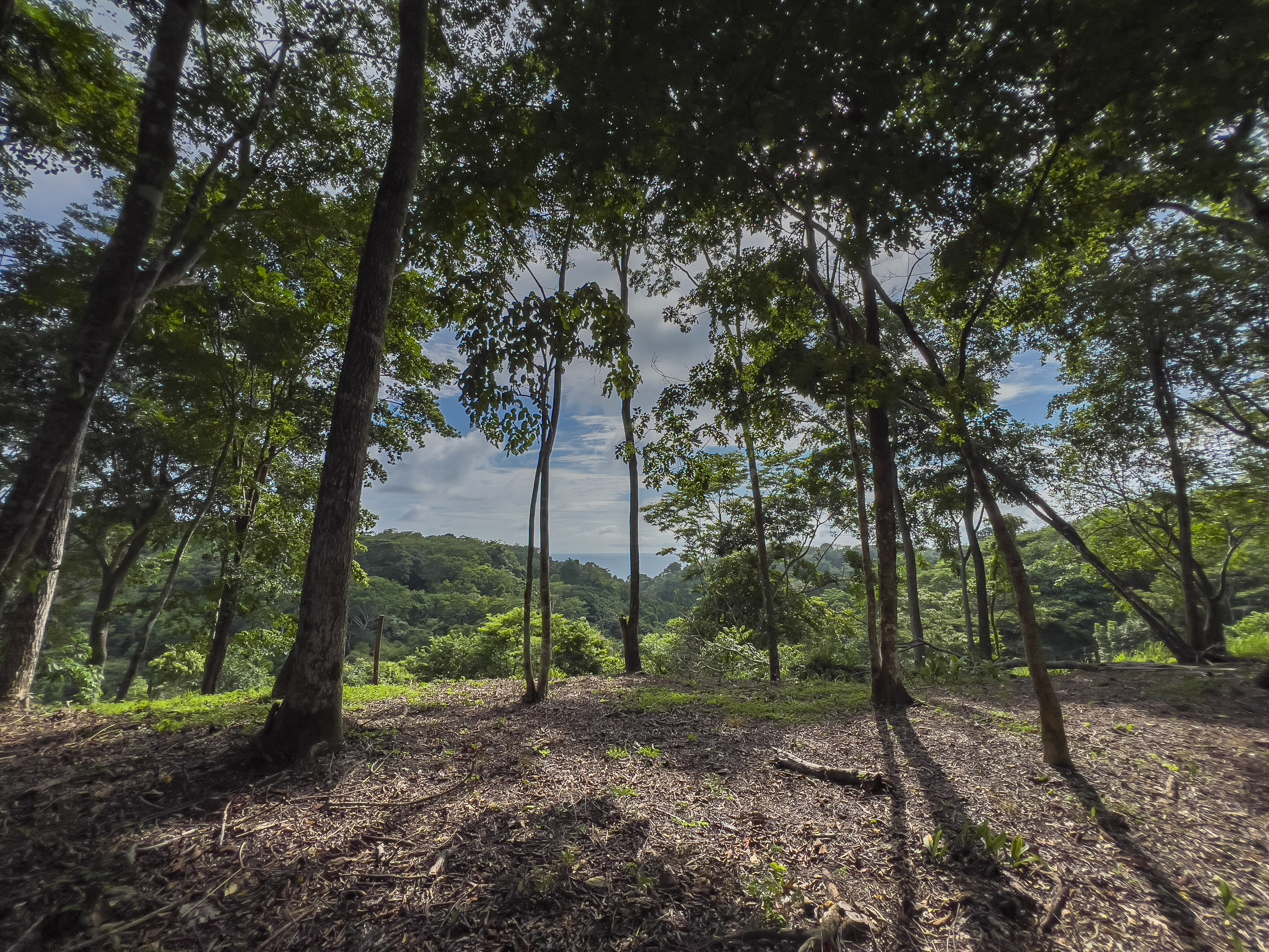 0 bed Communities For Sale in Santiago, Puntarenas - thumb 4