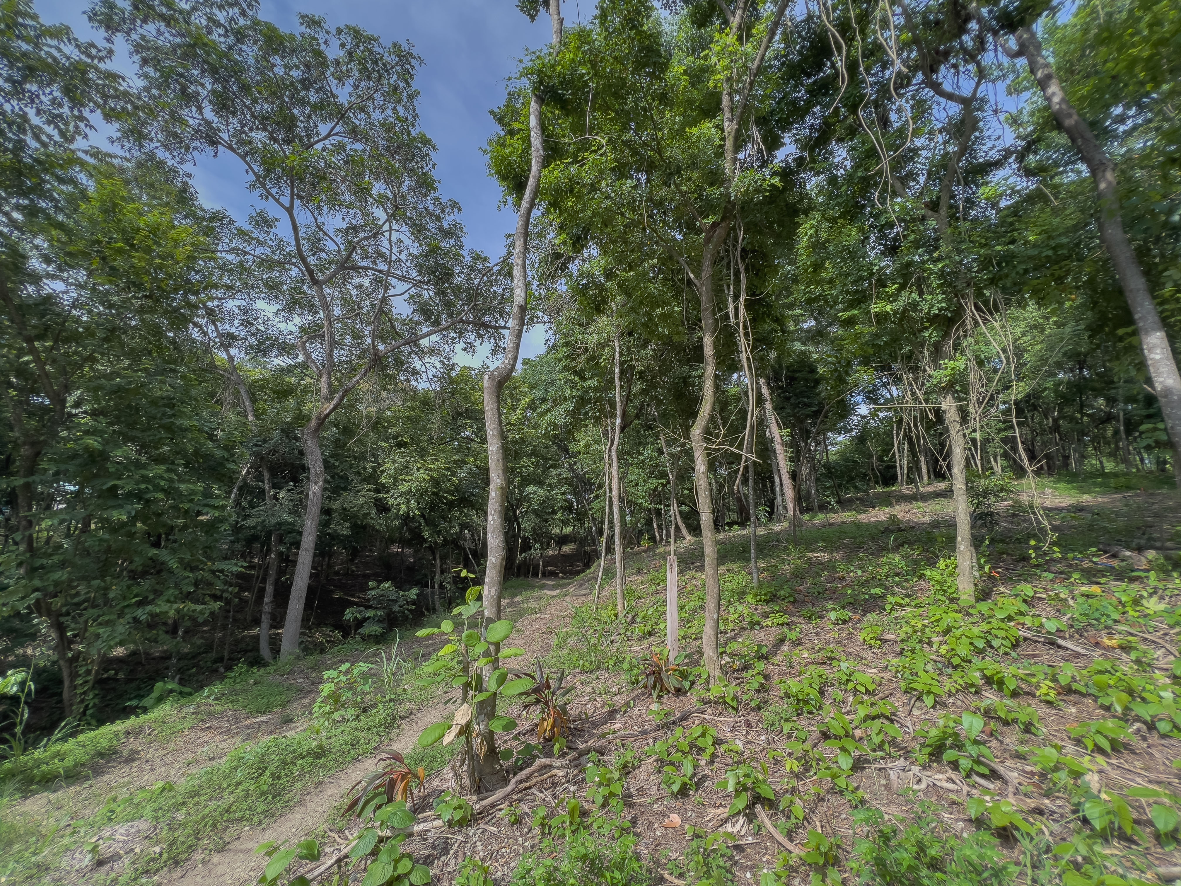 0 bed Communities For Sale in Santiago, Puntarenas - thumb 14