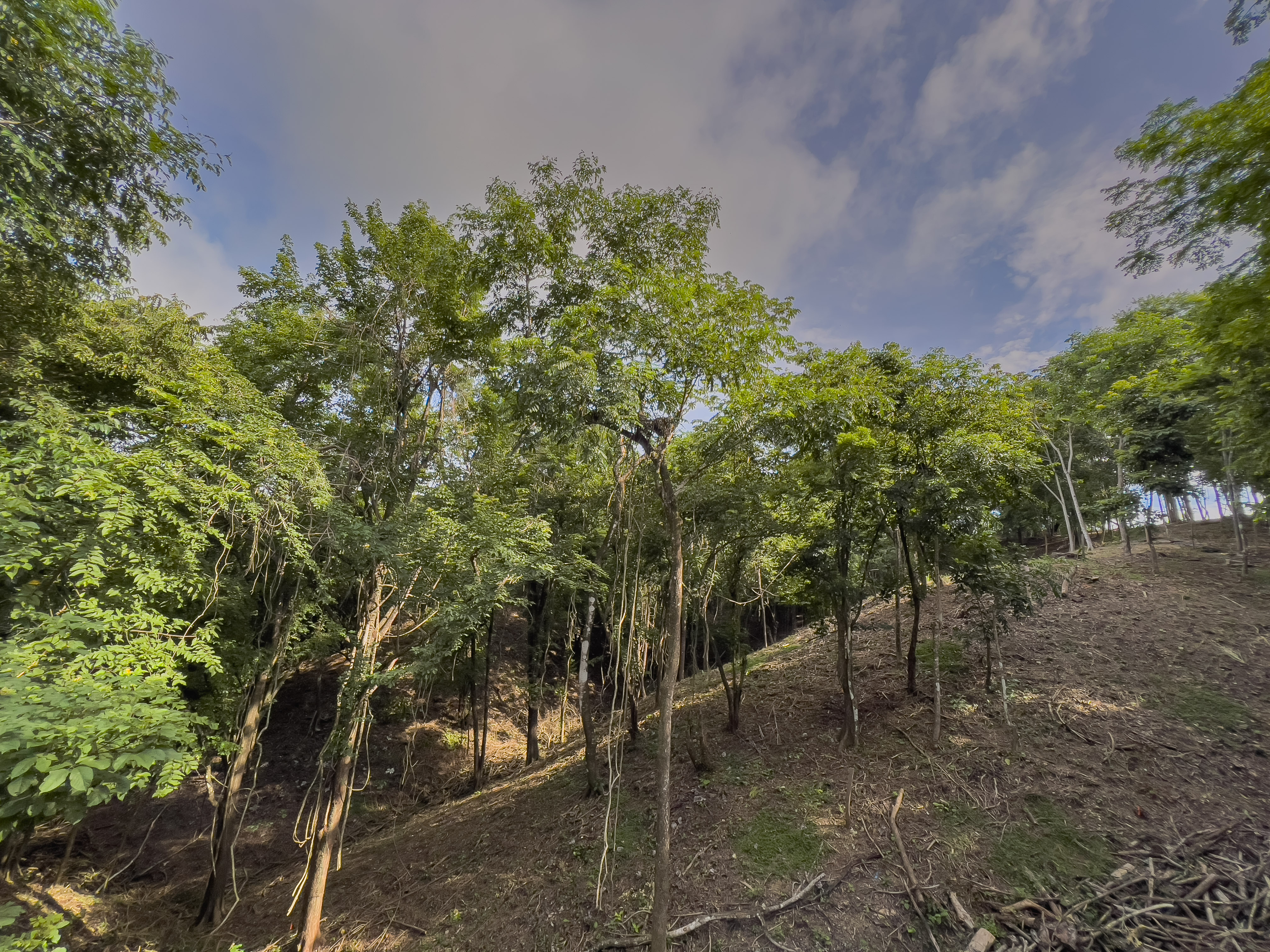 0 bed Communities For Sale in Santiago, Puntarenas - thumb 15