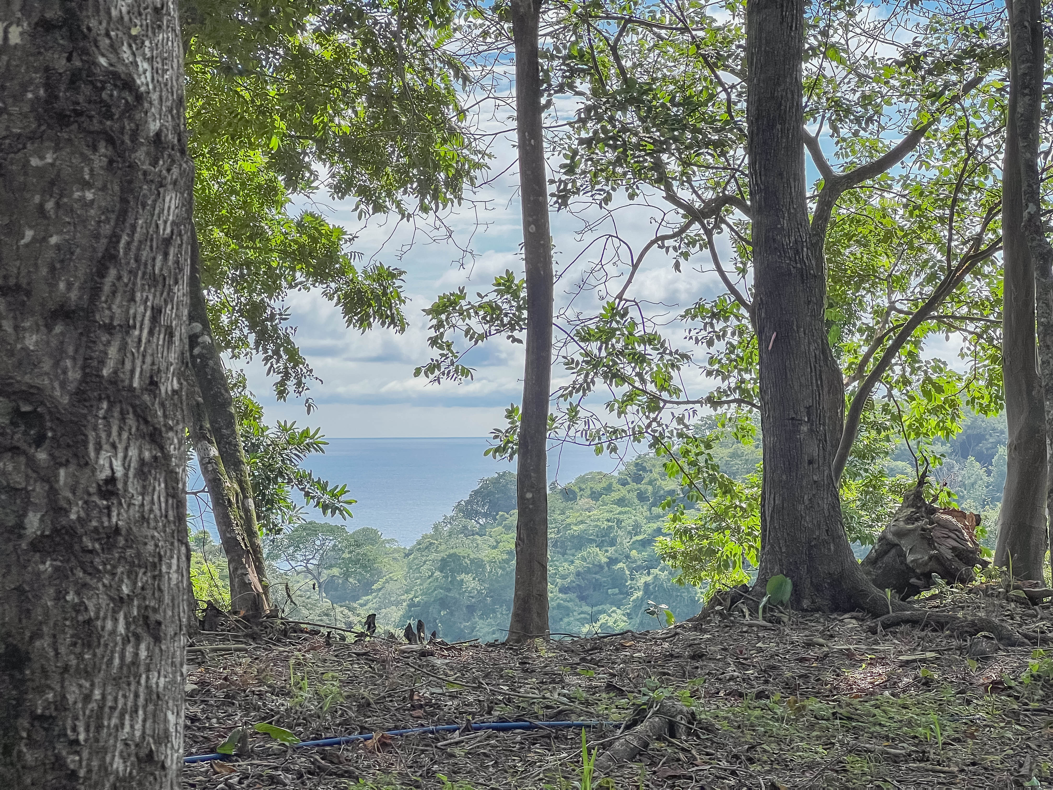 0 bed Communities For Sale in Santiago, Puntarenas - thumb 9