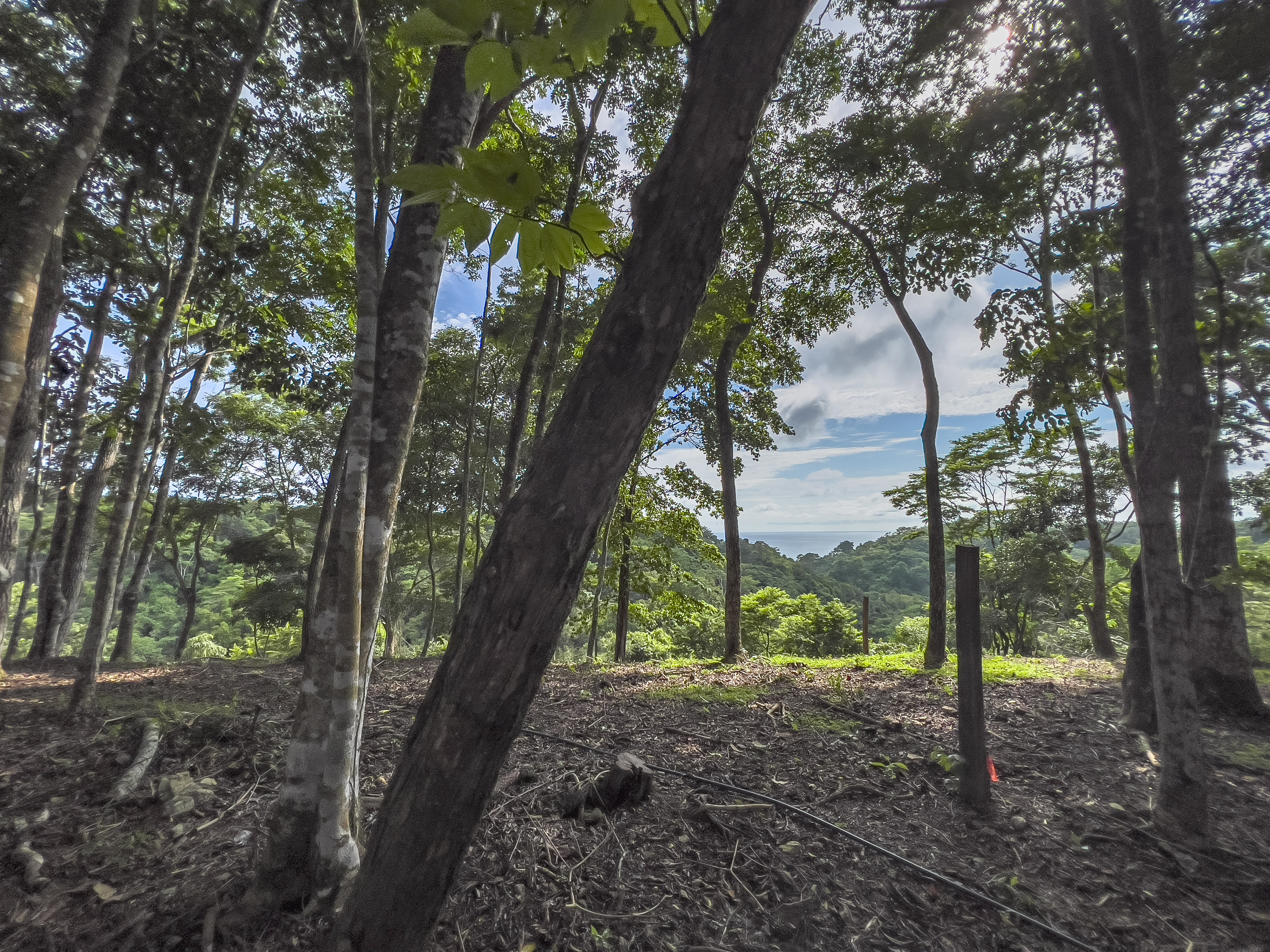 0 bed Communities For Sale in Santiago, Puntarenas - thumb 7