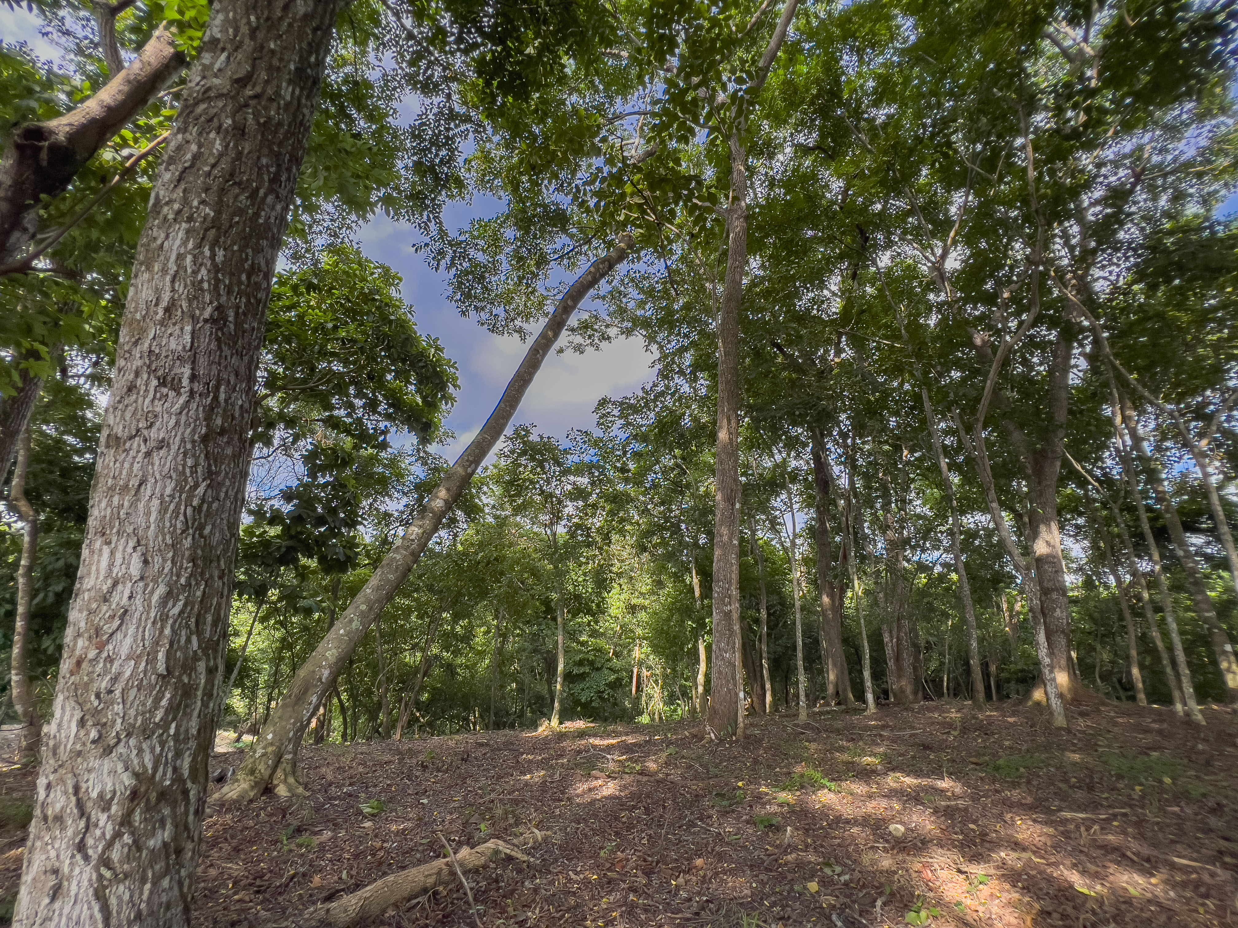 0 bed Communities For Sale in Santiago, Puntarenas - thumb 6