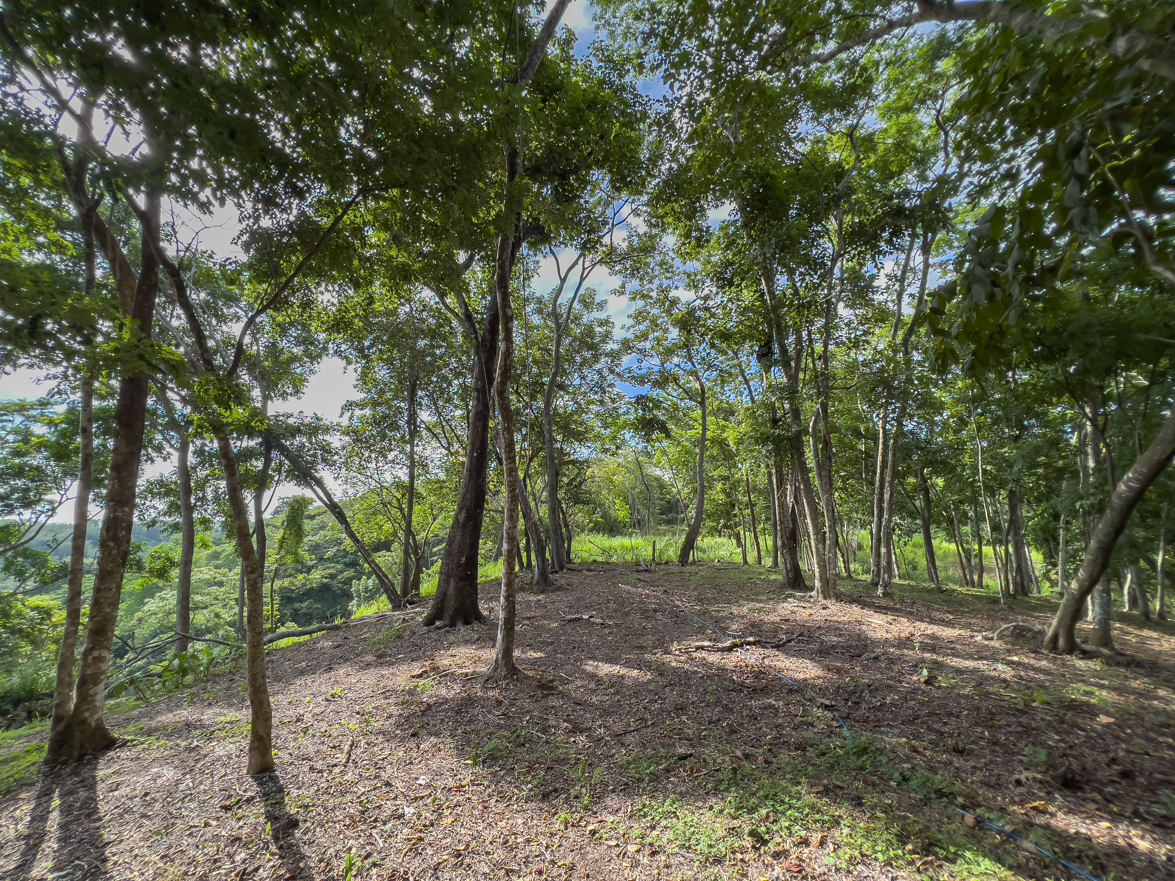 0 bed Communities For Sale in Santiago, Puntarenas - thumb 5