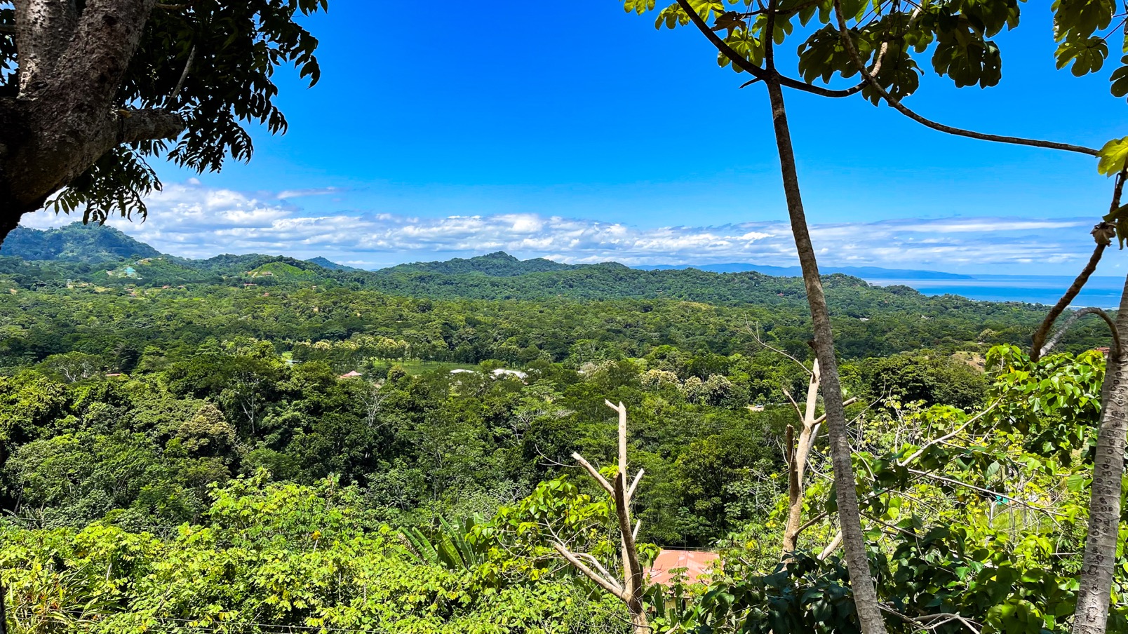 0 bed Land For Sale in Ojochal, Puntarenas - thumb 3