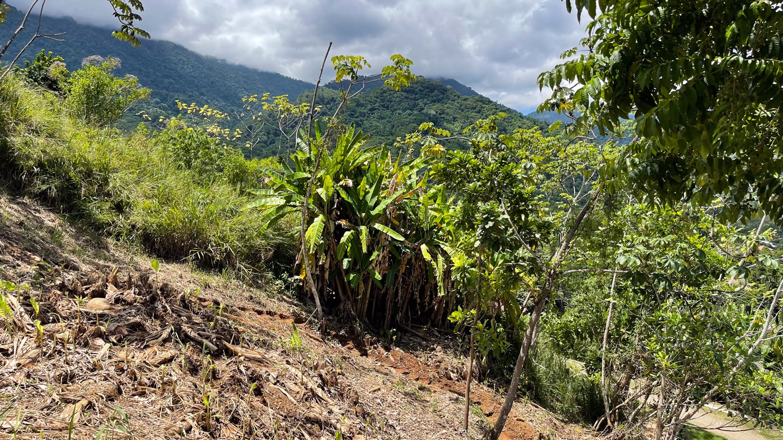 0 bed Land For Sale in Ojochal, Puntarenas - thumb 18
