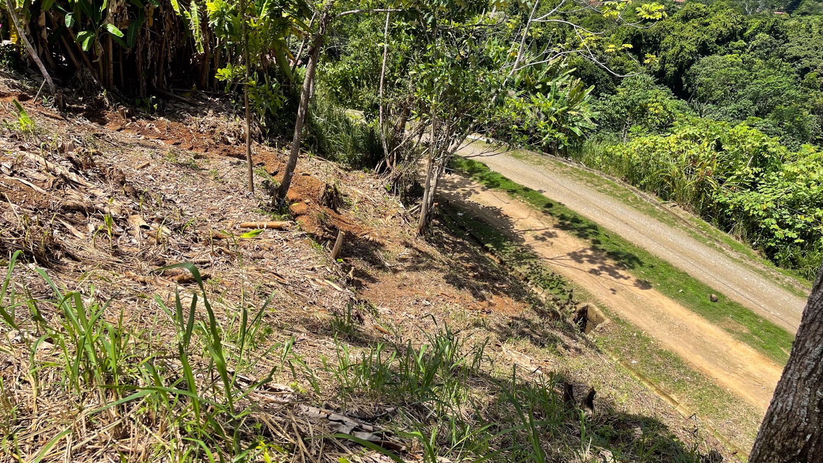 0 bed Land For Sale in Ojochal, Puntarenas - thumb 16