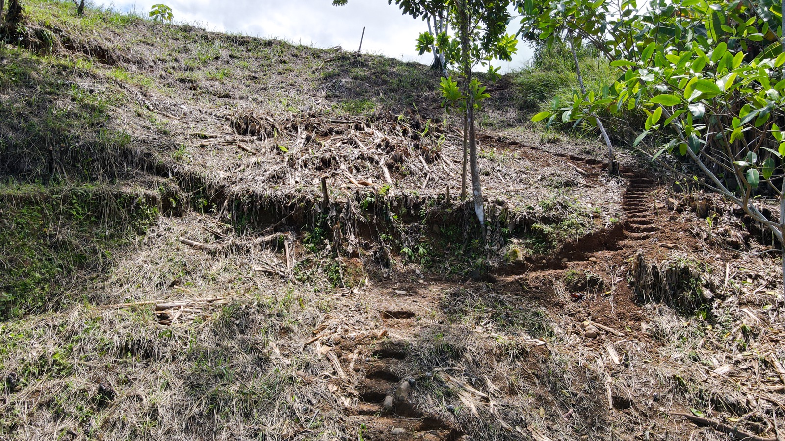 0 bed Land For Sale in Ojochal, Puntarenas - thumb 11