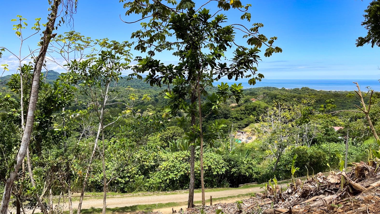 0 bed Land For Sale in Ojochal, Puntarenas - thumb 15
