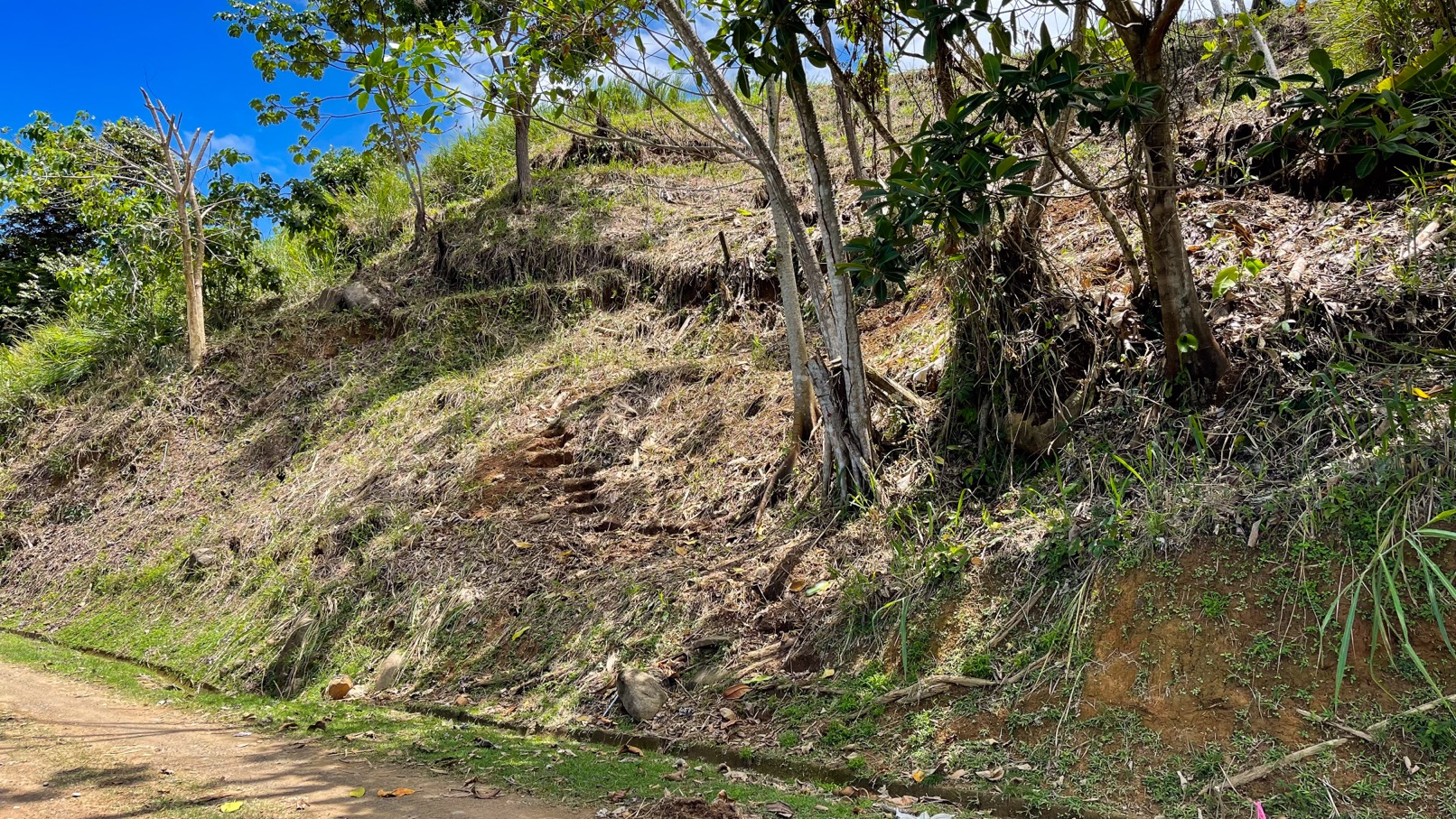 0 bed Land For Sale in Ojochal, Puntarenas - thumb 12