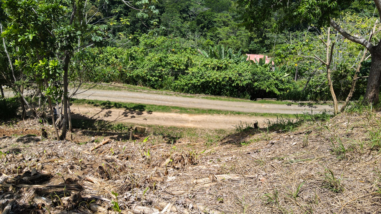 0 bed Land For Sale in Ojochal, Puntarenas - thumb 8