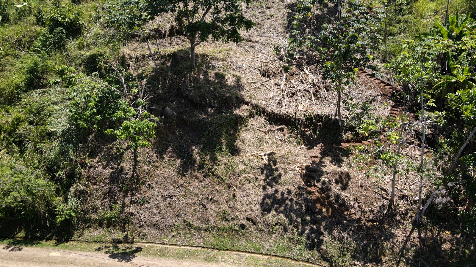 0 bed Land For Sale in Ojochal, Puntarenas - thumb 13