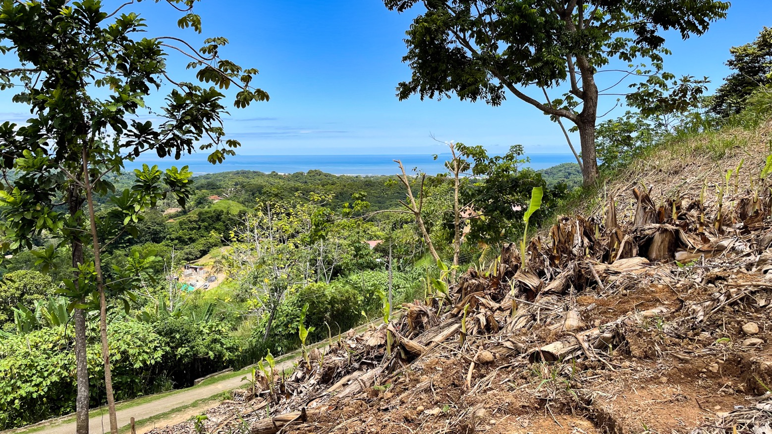 0 bed Land For Sale in Ojochal, Puntarenas - thumb 2