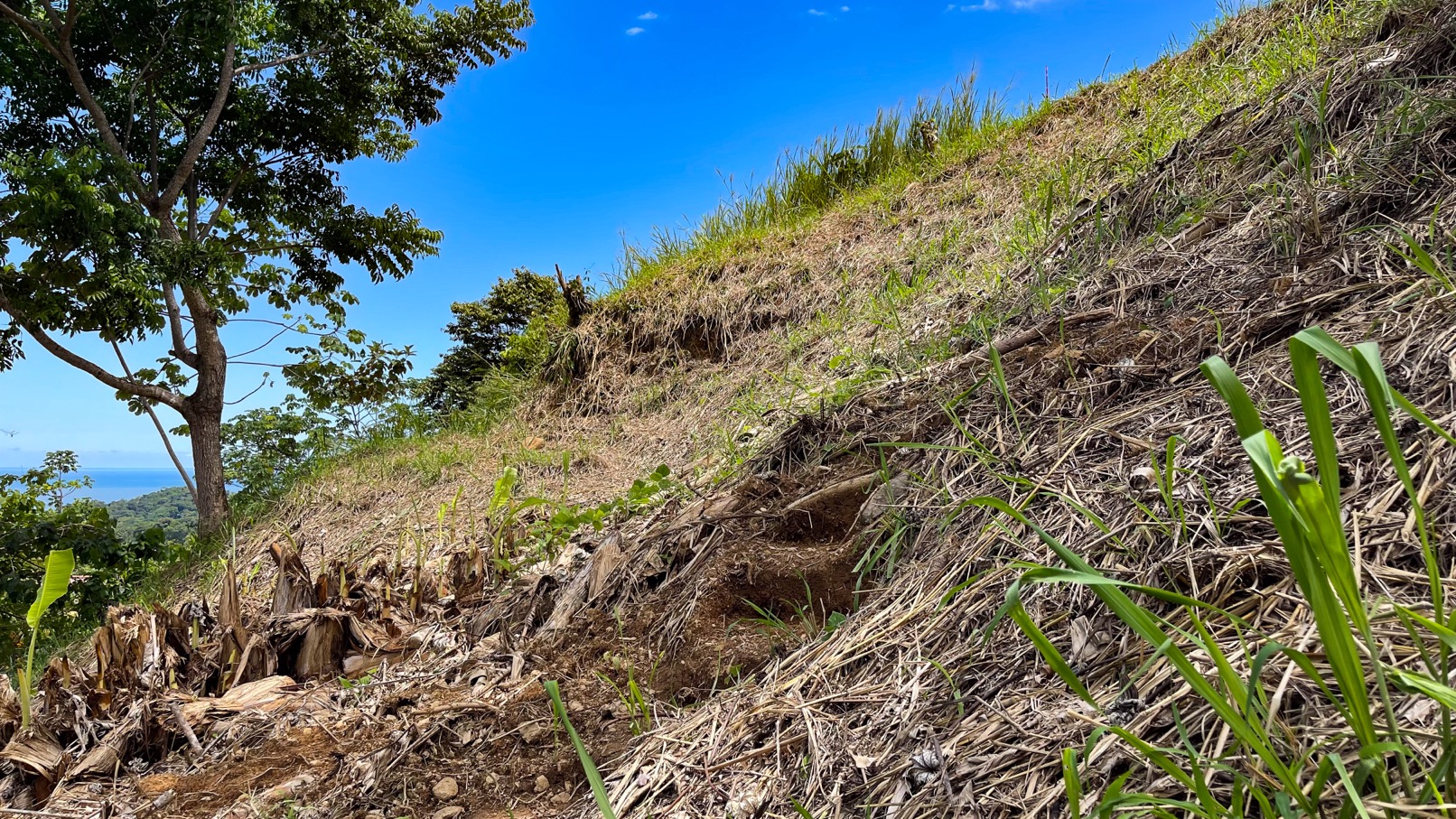 0 bed Land For Sale in Ojochal, Puntarenas - thumb 9